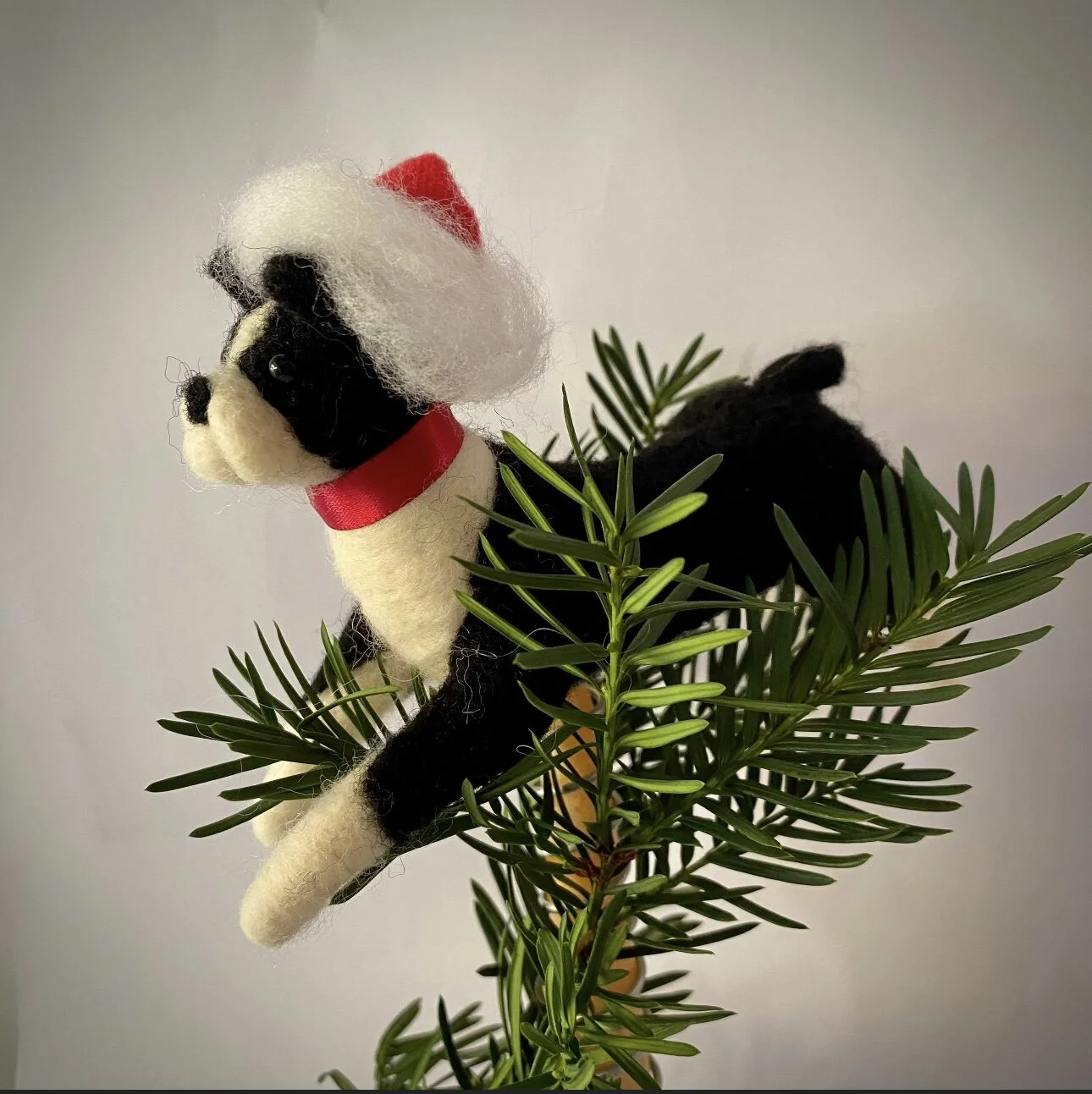 F0006BB3-532B-4895-B9CD-C3893777ED2B