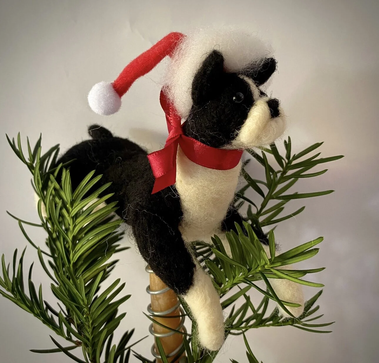 4DD68F72-EDFA-4DC2-ACF1-94FB0C7F9139