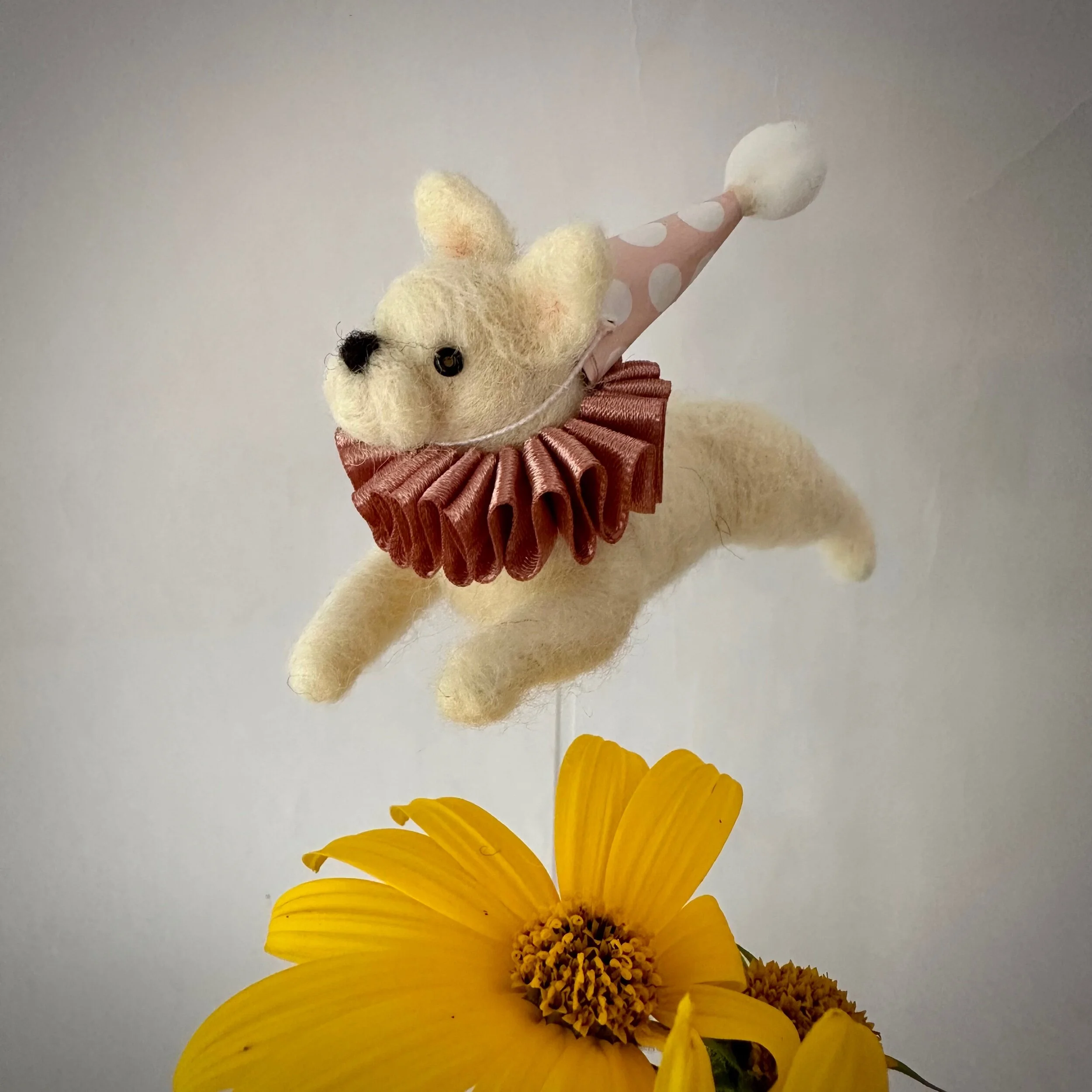 3A29DF83-6F25-431B-8587-26AB2DEA5093