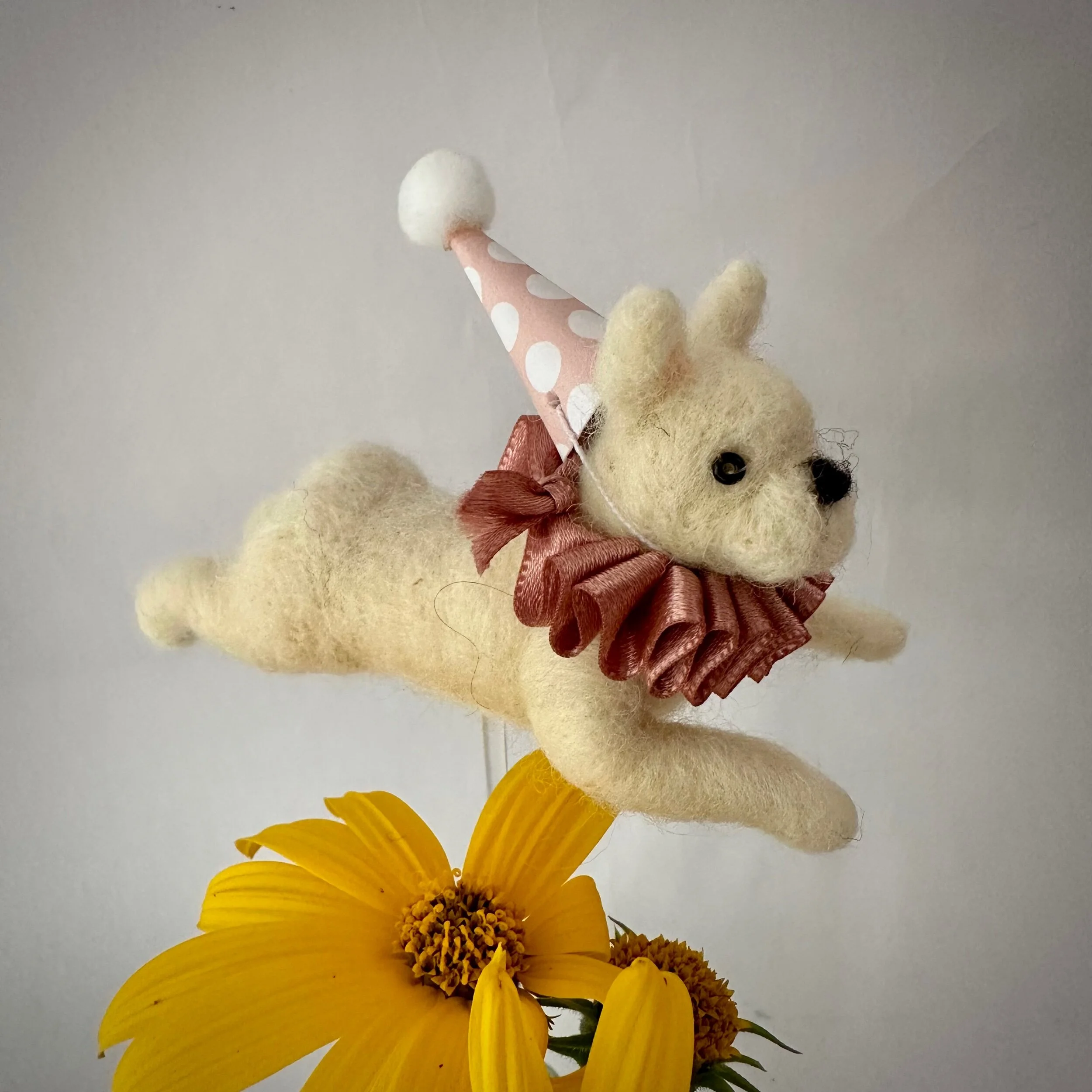 915737B3-BD82-4399-BCBC-5CFD4C7CD842