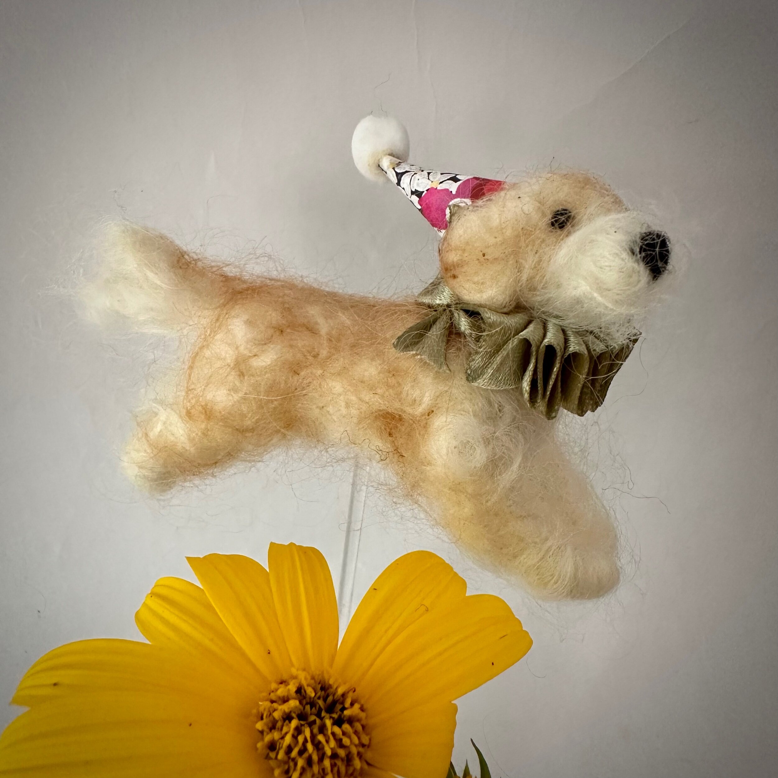 B3D22275-46E8-4C08-8B45-A668CF72C079