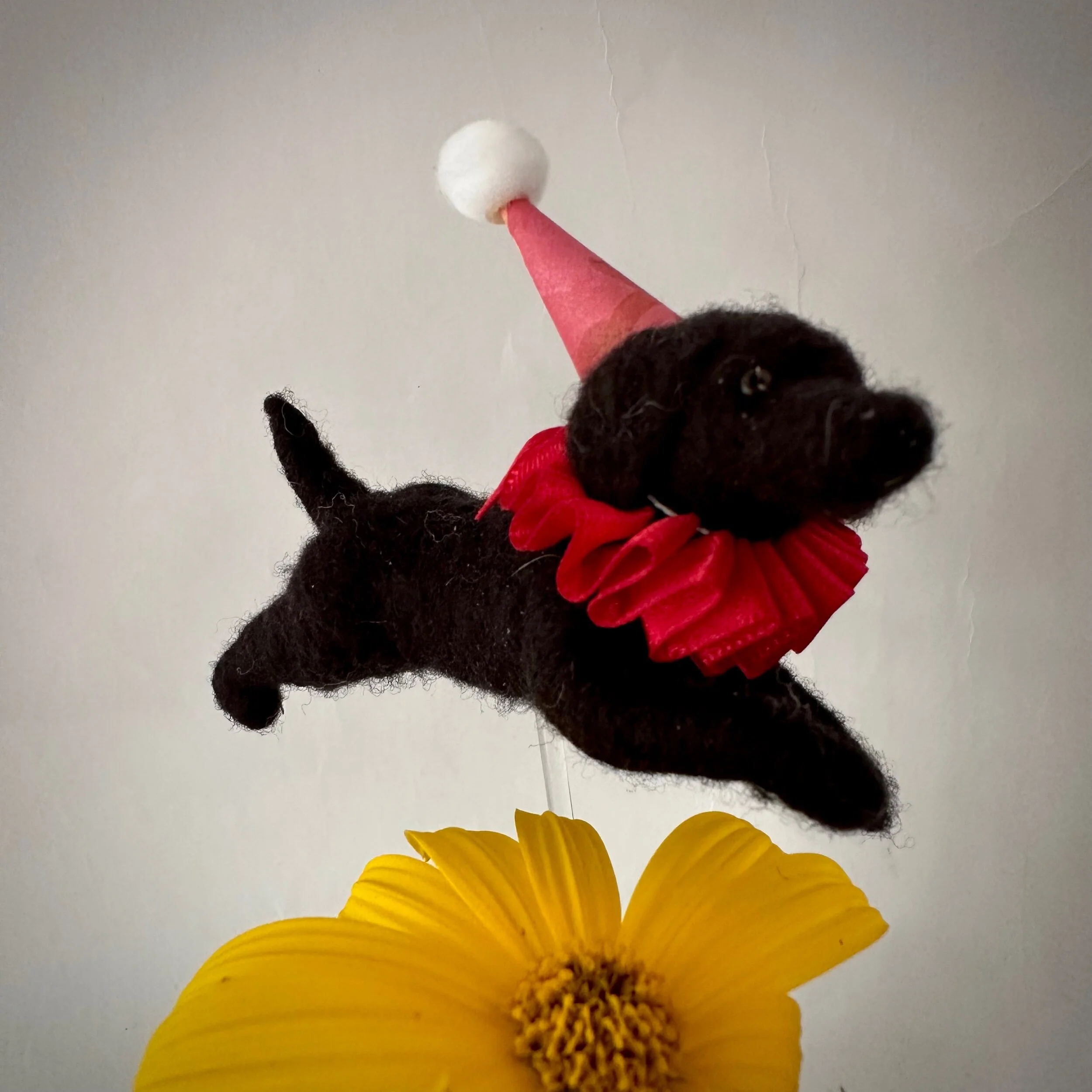 8683EB99-317C-4911-8473-F77CB1543A29