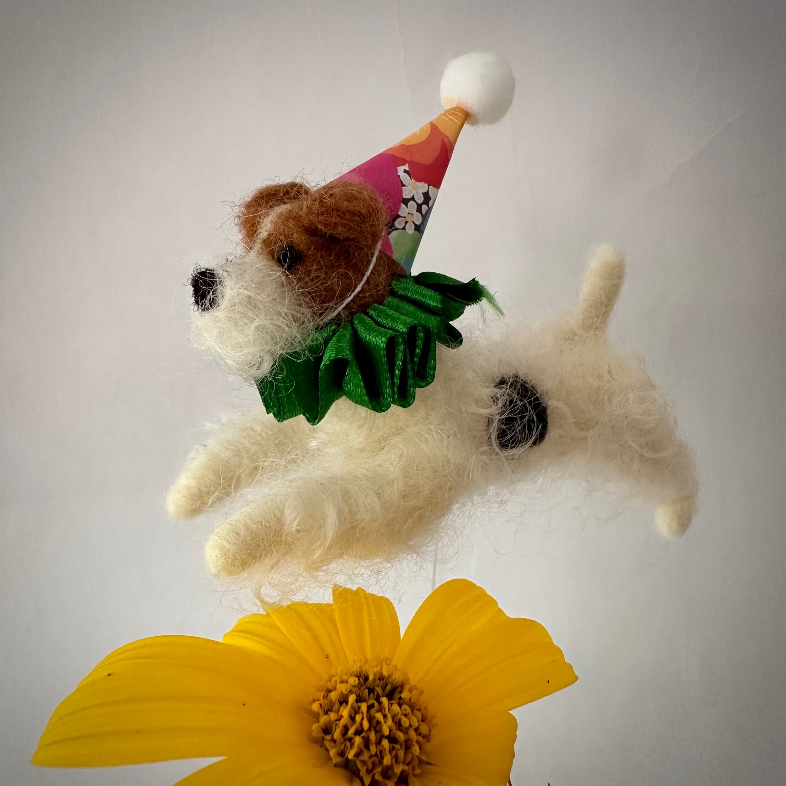 603468C5-24D1-464E-9E02-0EDE8F993FE8