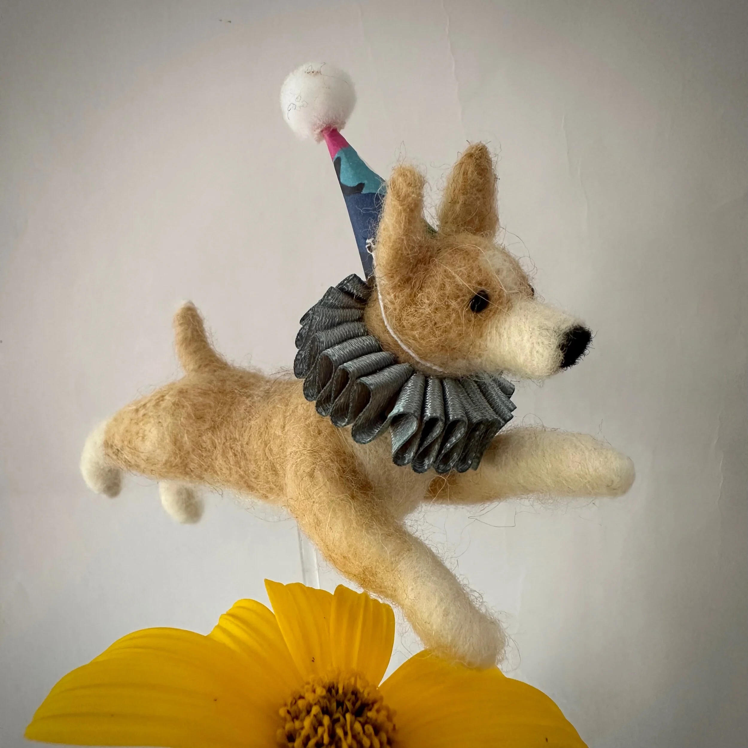 F3F78384-797B-4DEF-9F1B-A5B34BE7777B