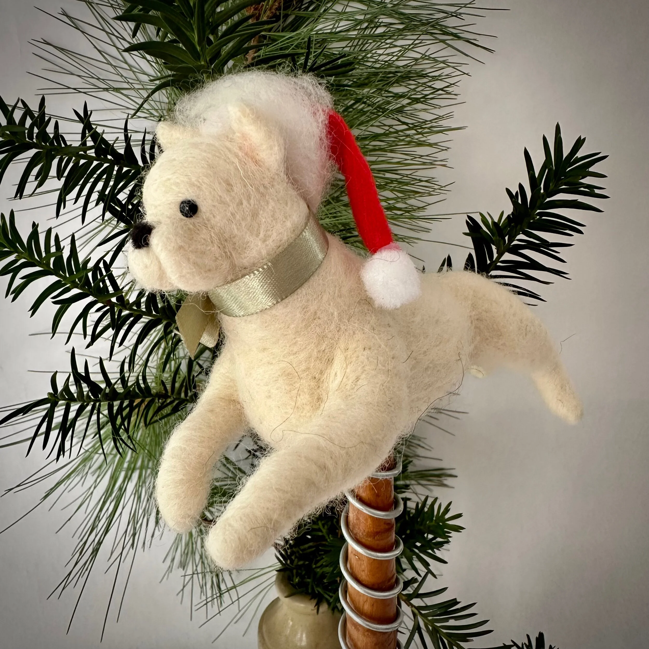 E469A63F-6F1F-405E-9110-916F18ECCD49