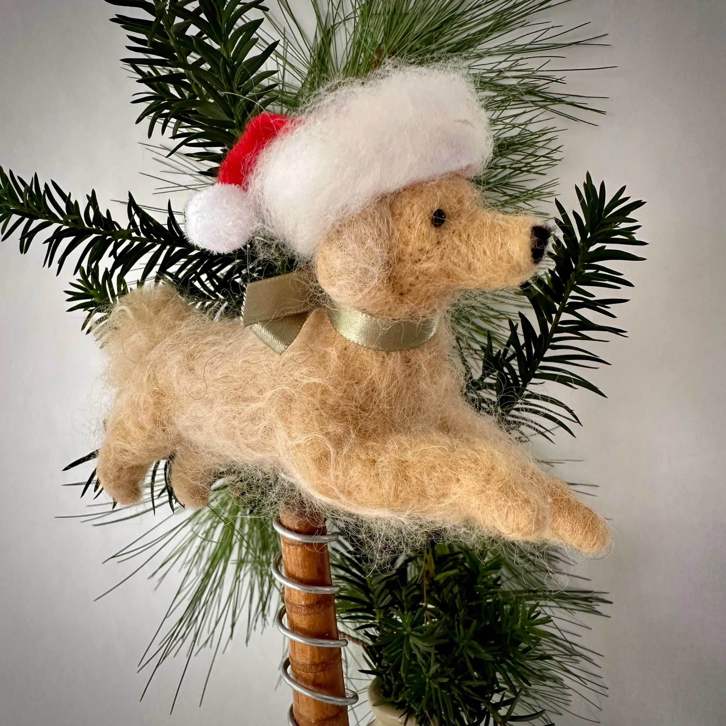 F0A33365-8654-4DA2-BE96-96AEE1602B85