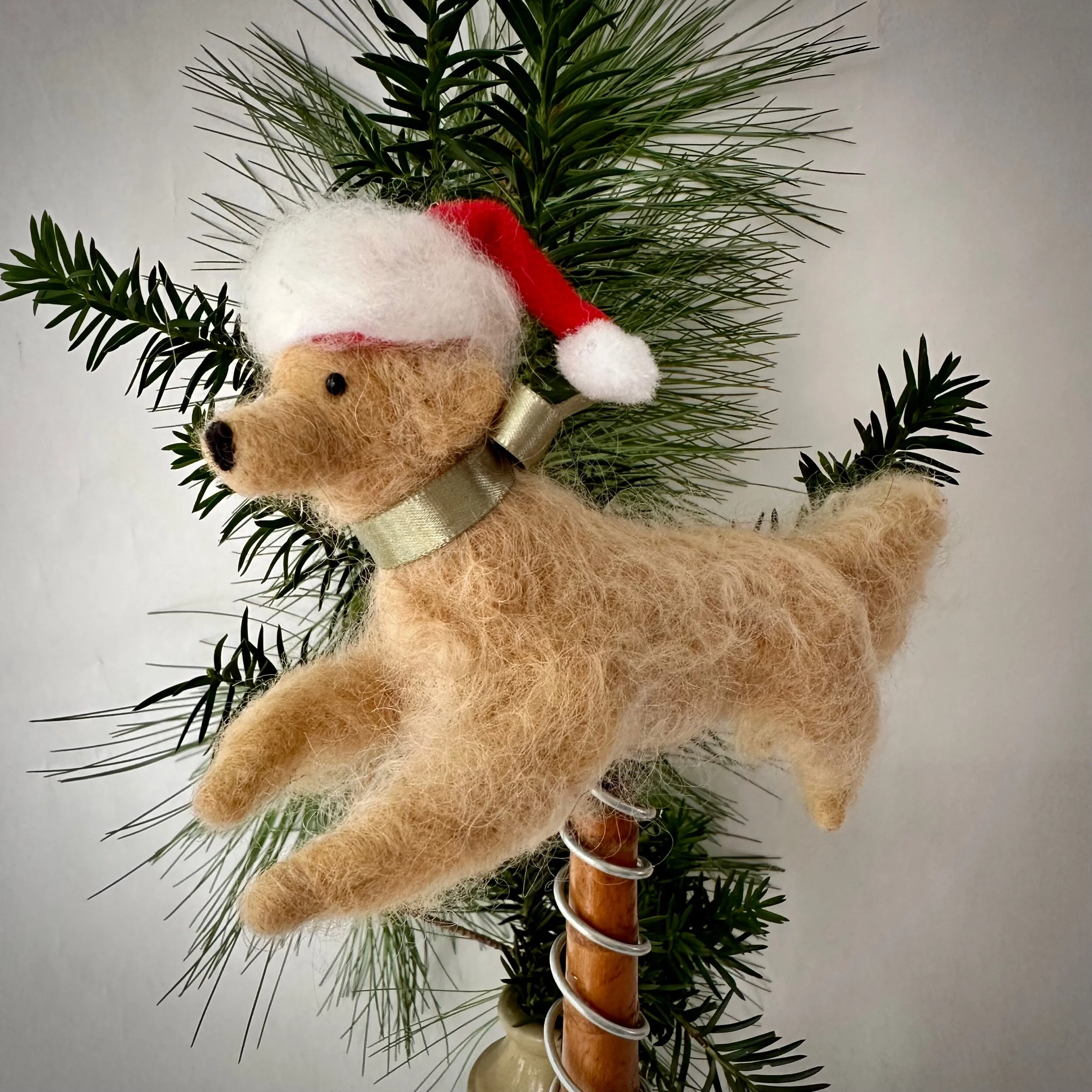 6563B27B-0B2F-4C7D-94AF-F34F66B480A5