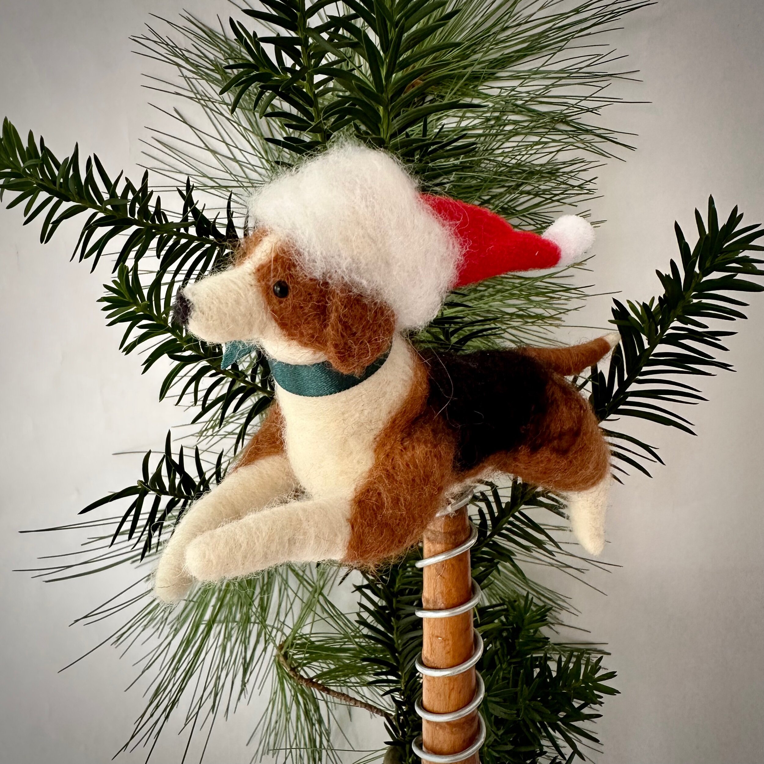 44084DE1-9D5D-44B9-BE1C-EAE1DE81AA40