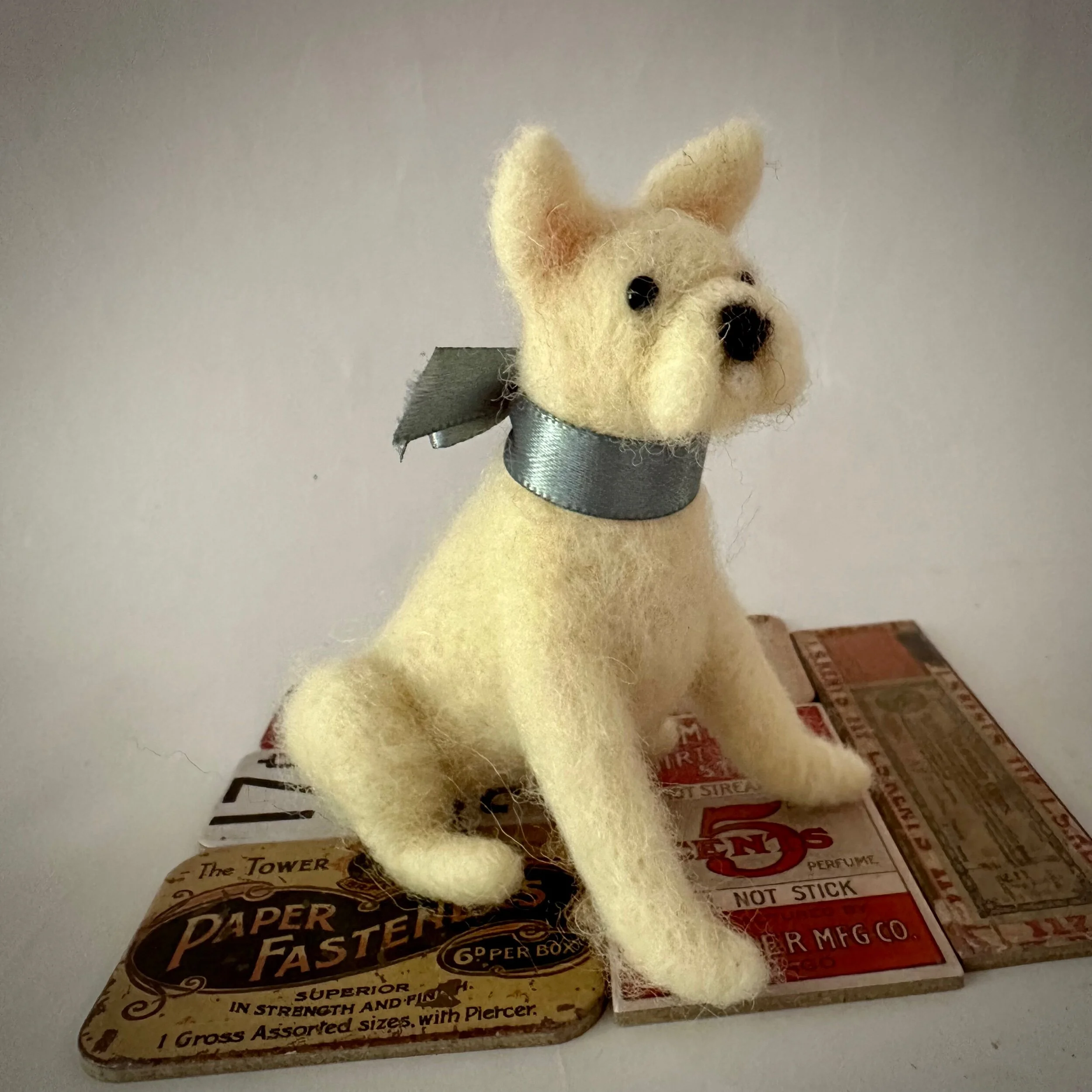 B1E564EF-DBF3-471B-9D39-8E93BD77C1DB