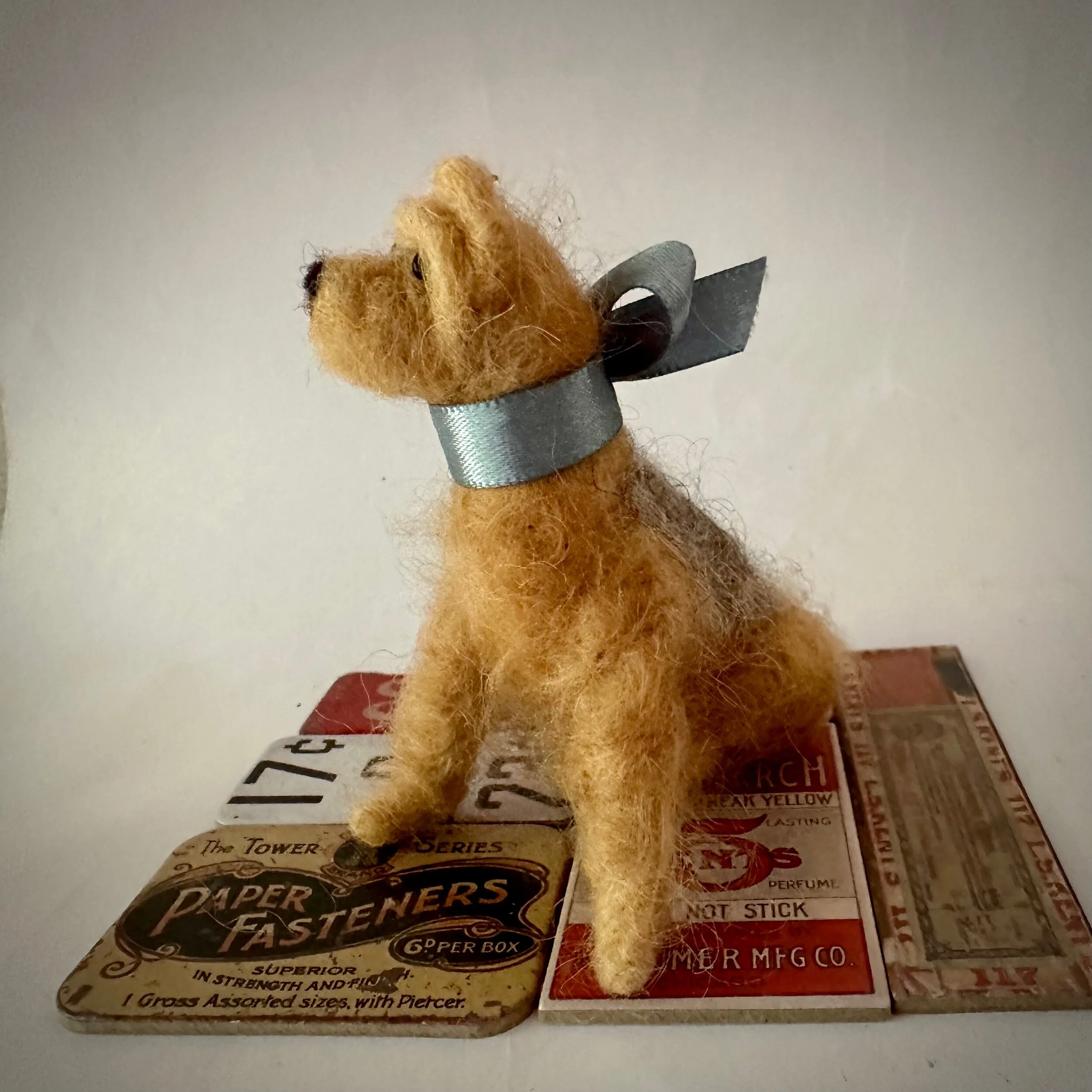 E87B815B-1147-4954-BF1A-2F5B25BBEADC