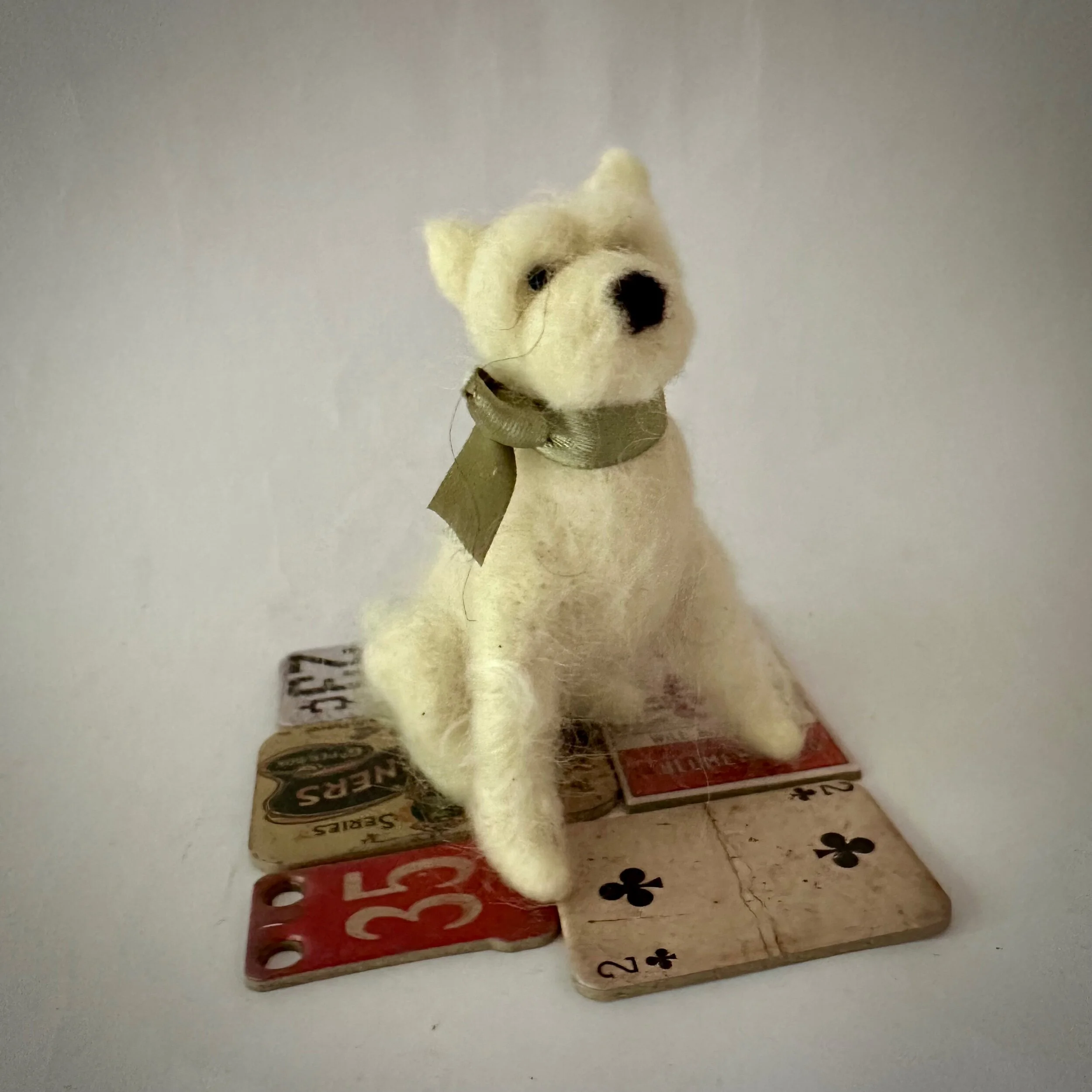 829E489A-8E20-4820-A88F-43430D4A7D9A