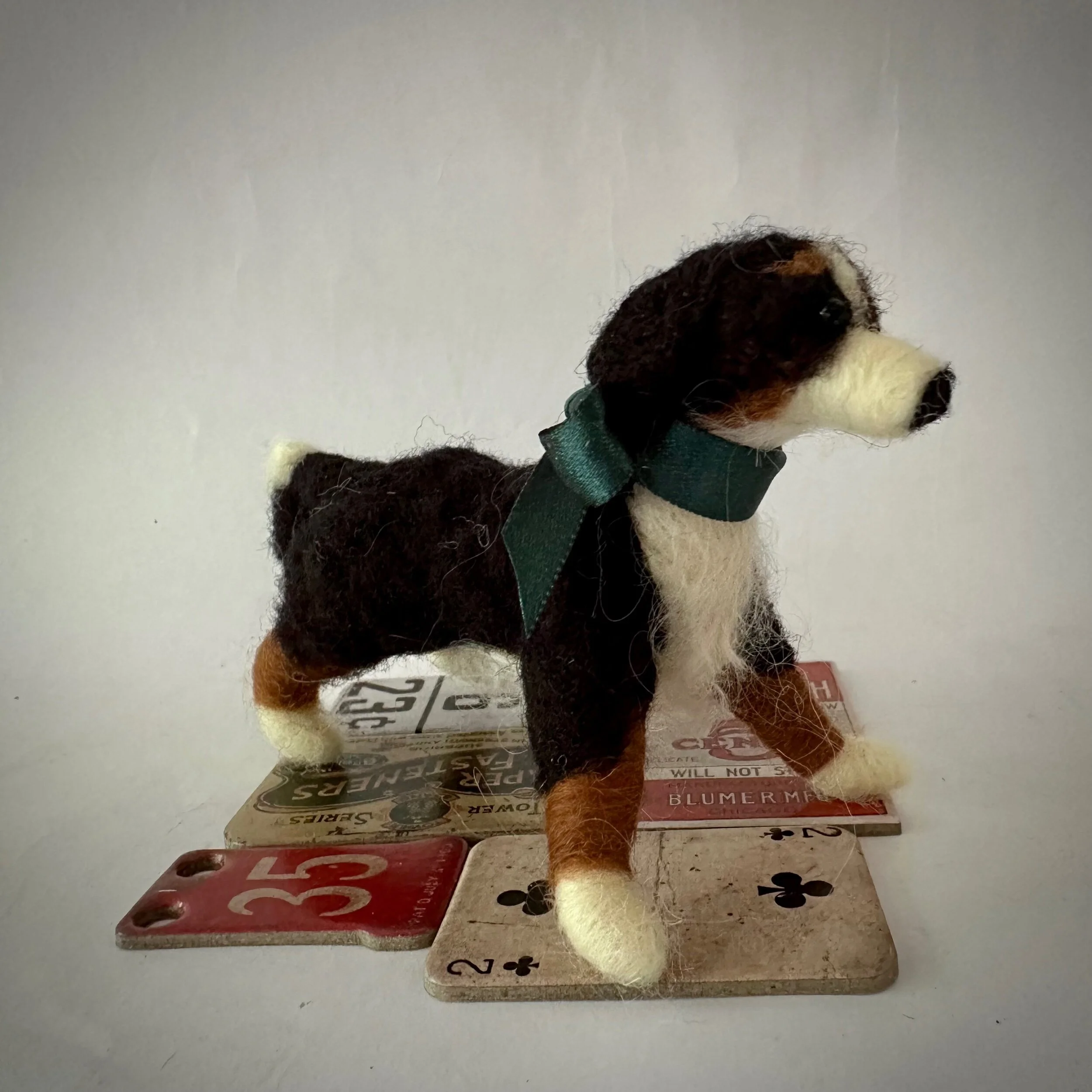 9FCCA8B9-2506-4369-81D7-74F2CCBCCC8C