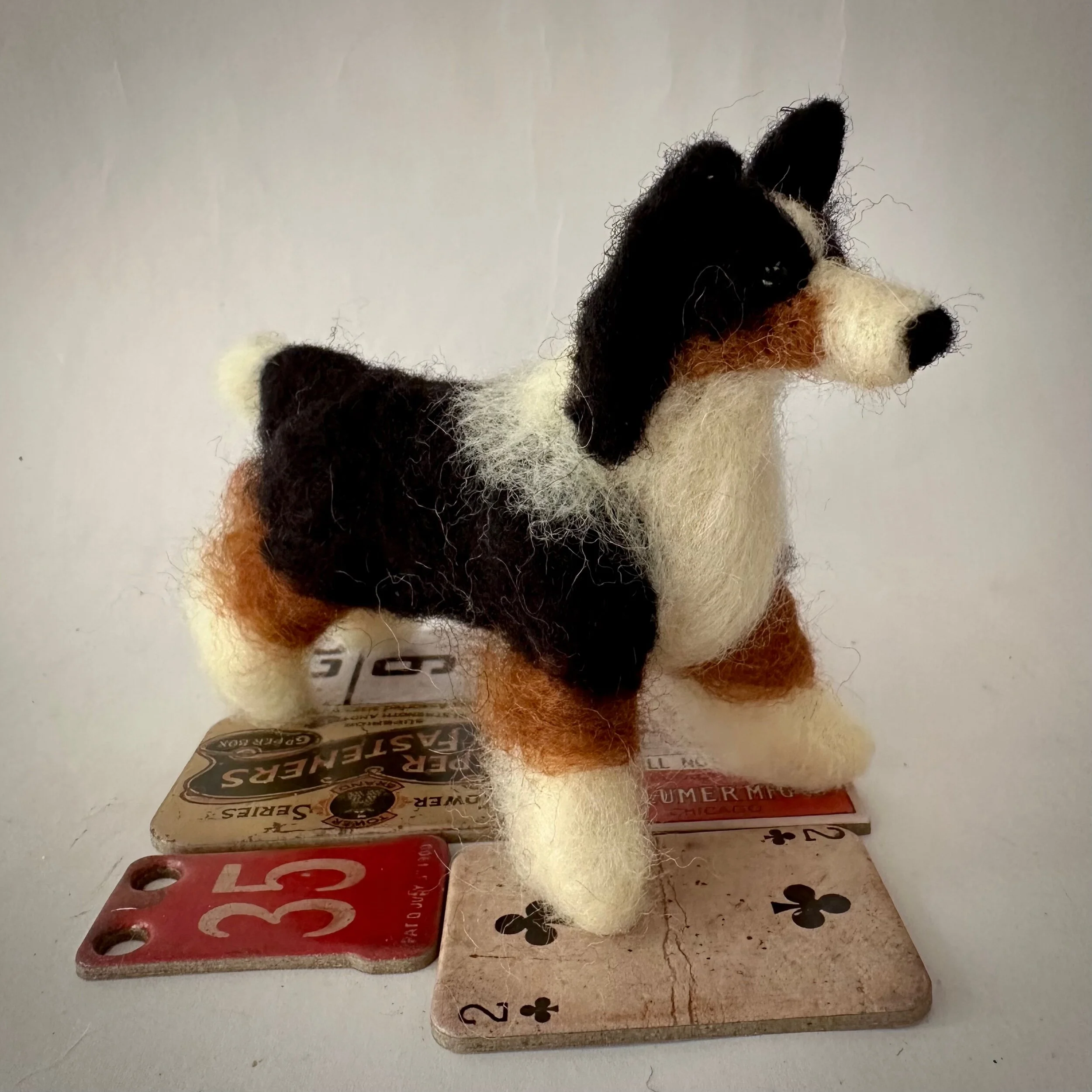 6A11AAA3-780F-488B-934A-69C973349644