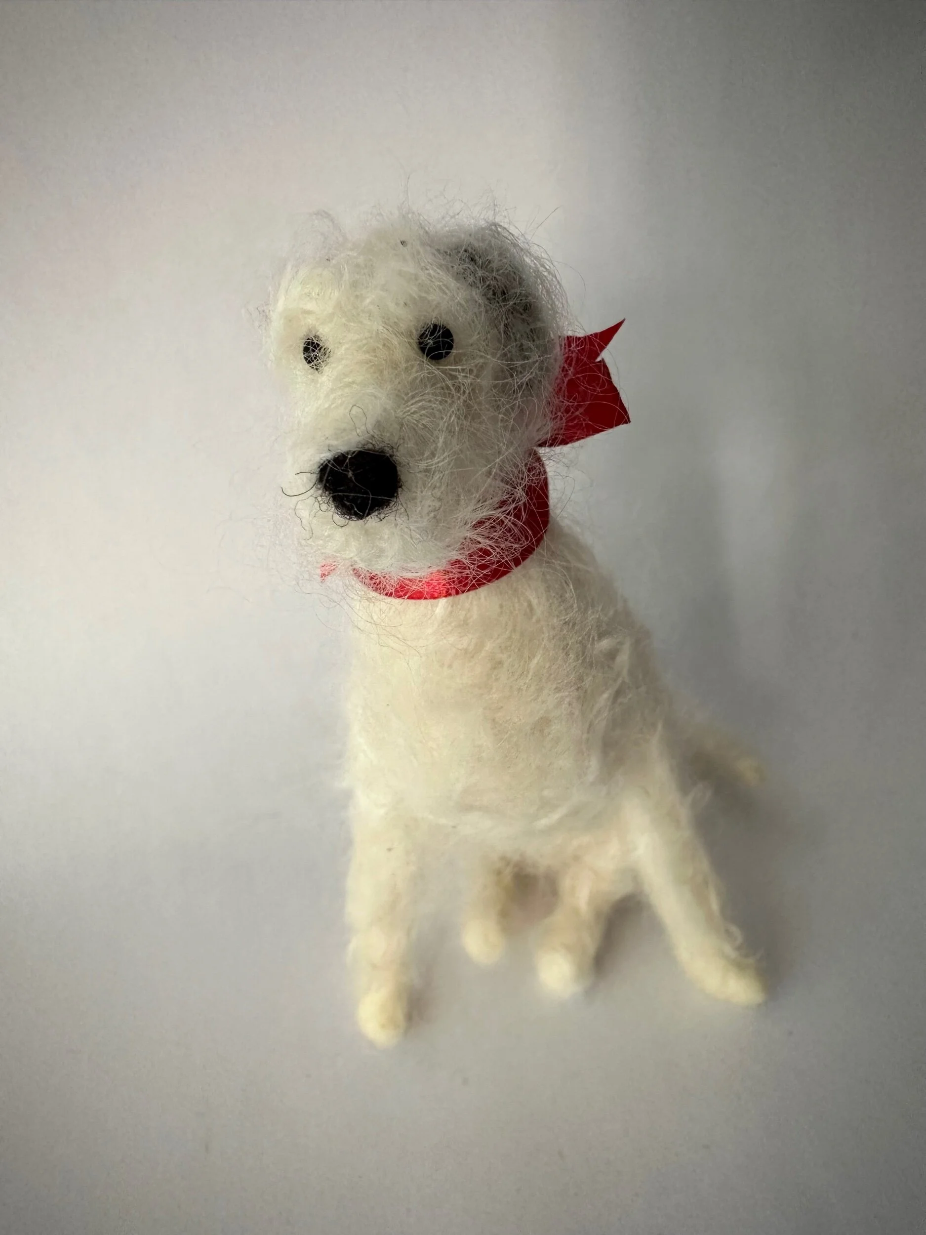 51B19CB4-1D84-4FD5-A00C-89614917514F