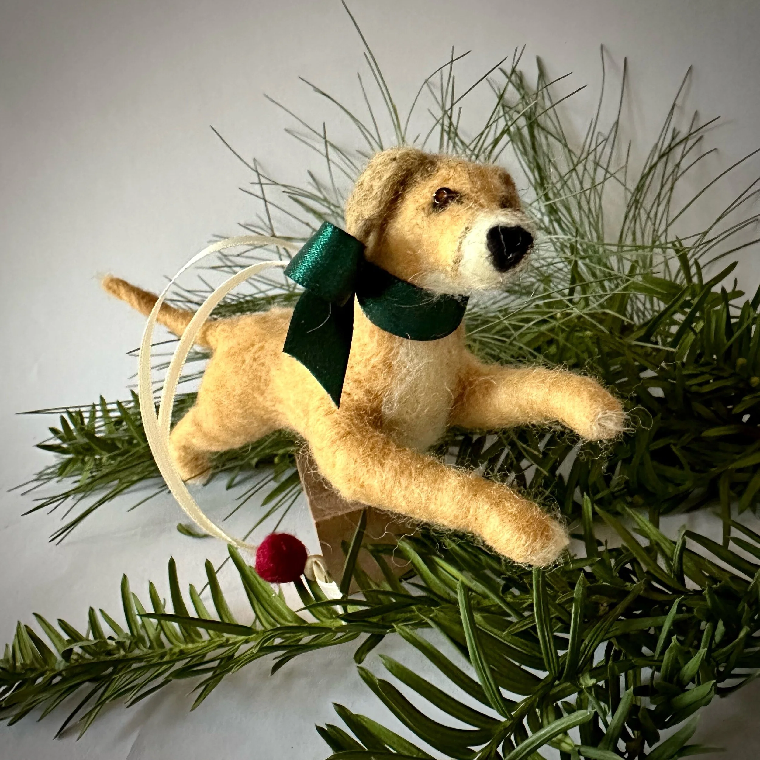 F397F0CA-AED5-46BF-AD4C-E082C903AAC3