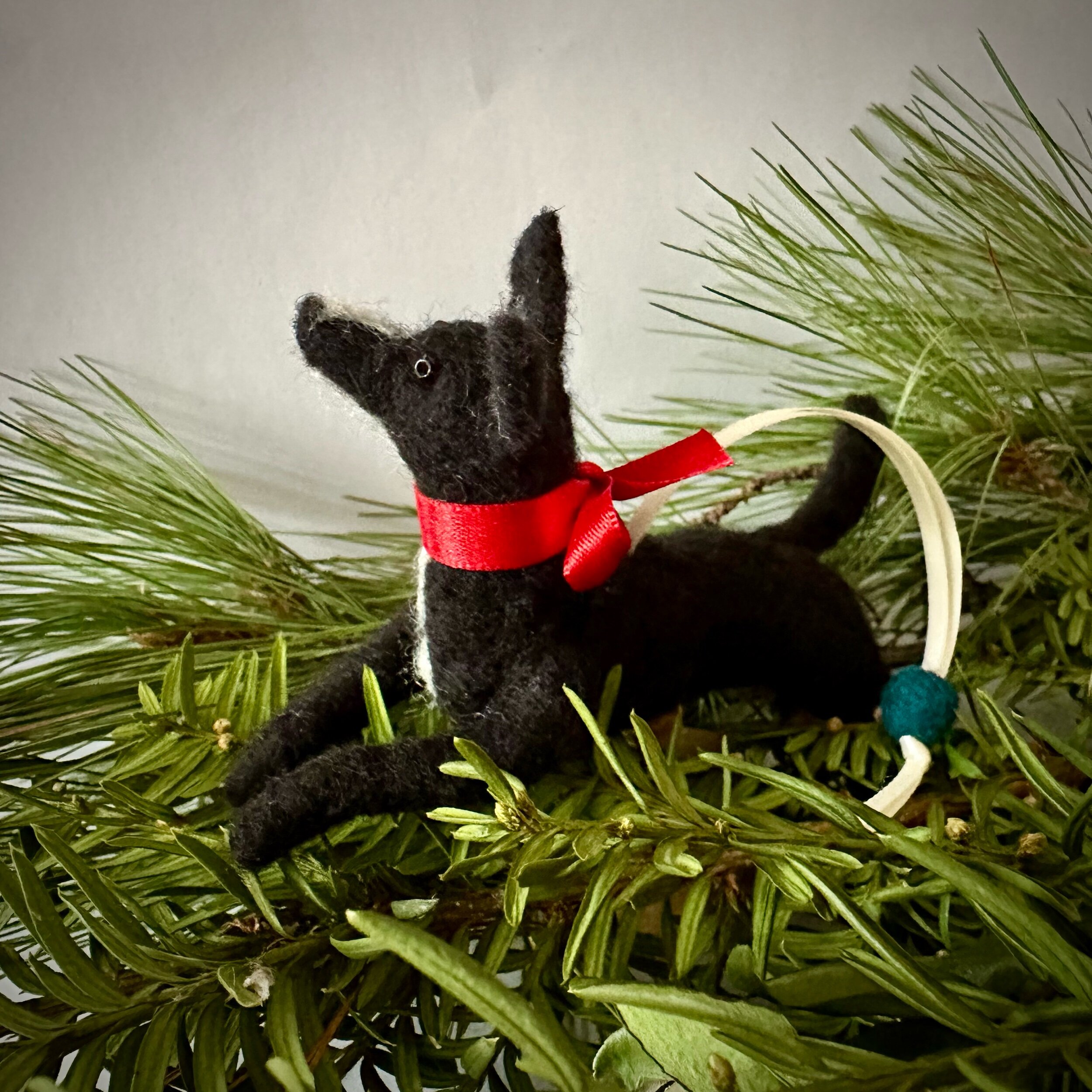 1A181D5C-0E2E-4DFB-BDDE-D057950B0479