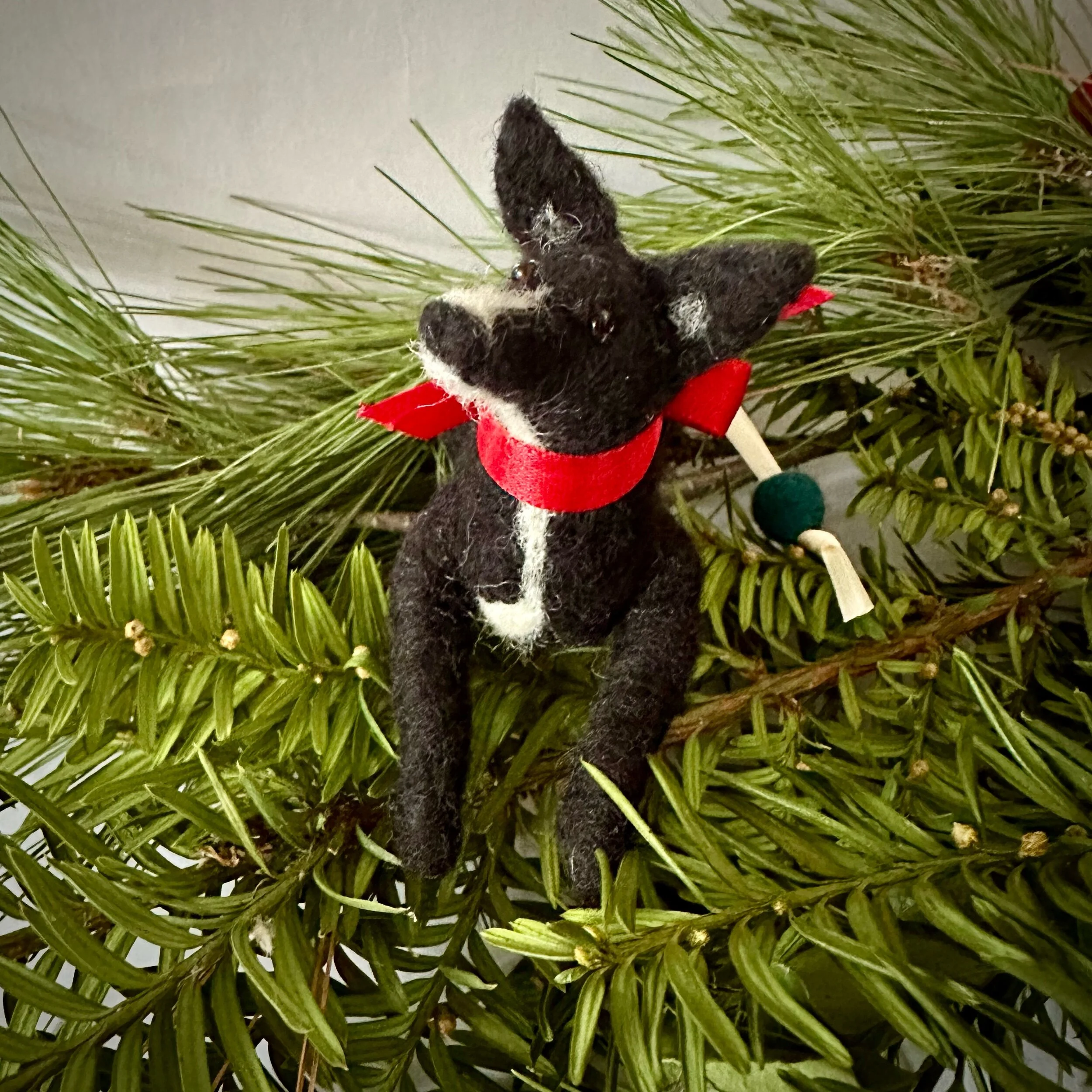 5CAF5C00-47DA-43AA-9F4C-D8EB2EF34A4C