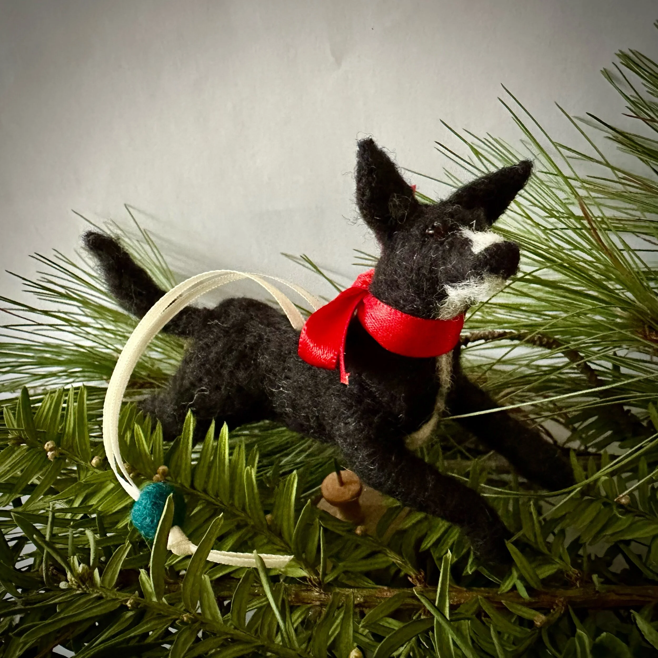 A47DA6A8-63C2-497F-9BA5-54A5875BE5D7