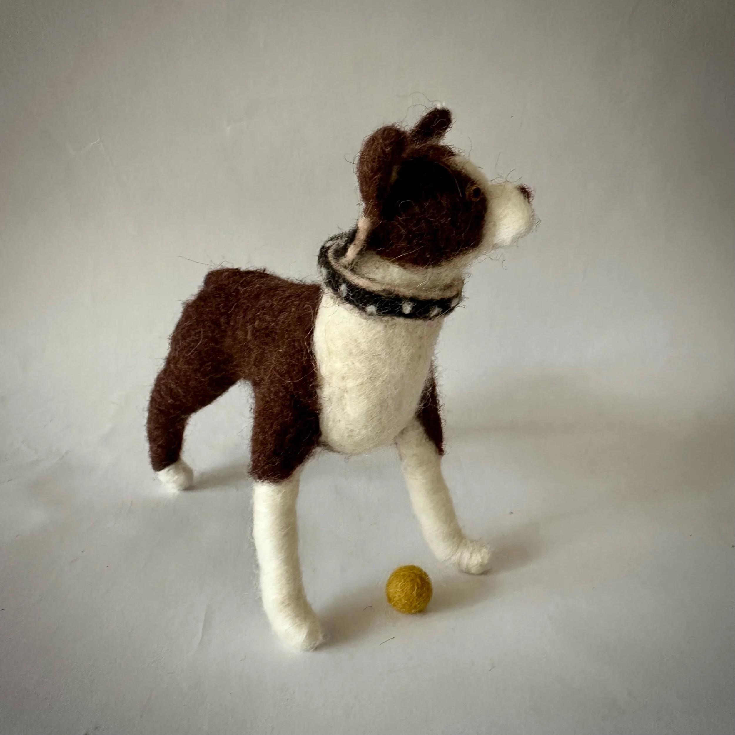 F5748A50-E620-4169-A382-19C8D99C71F8