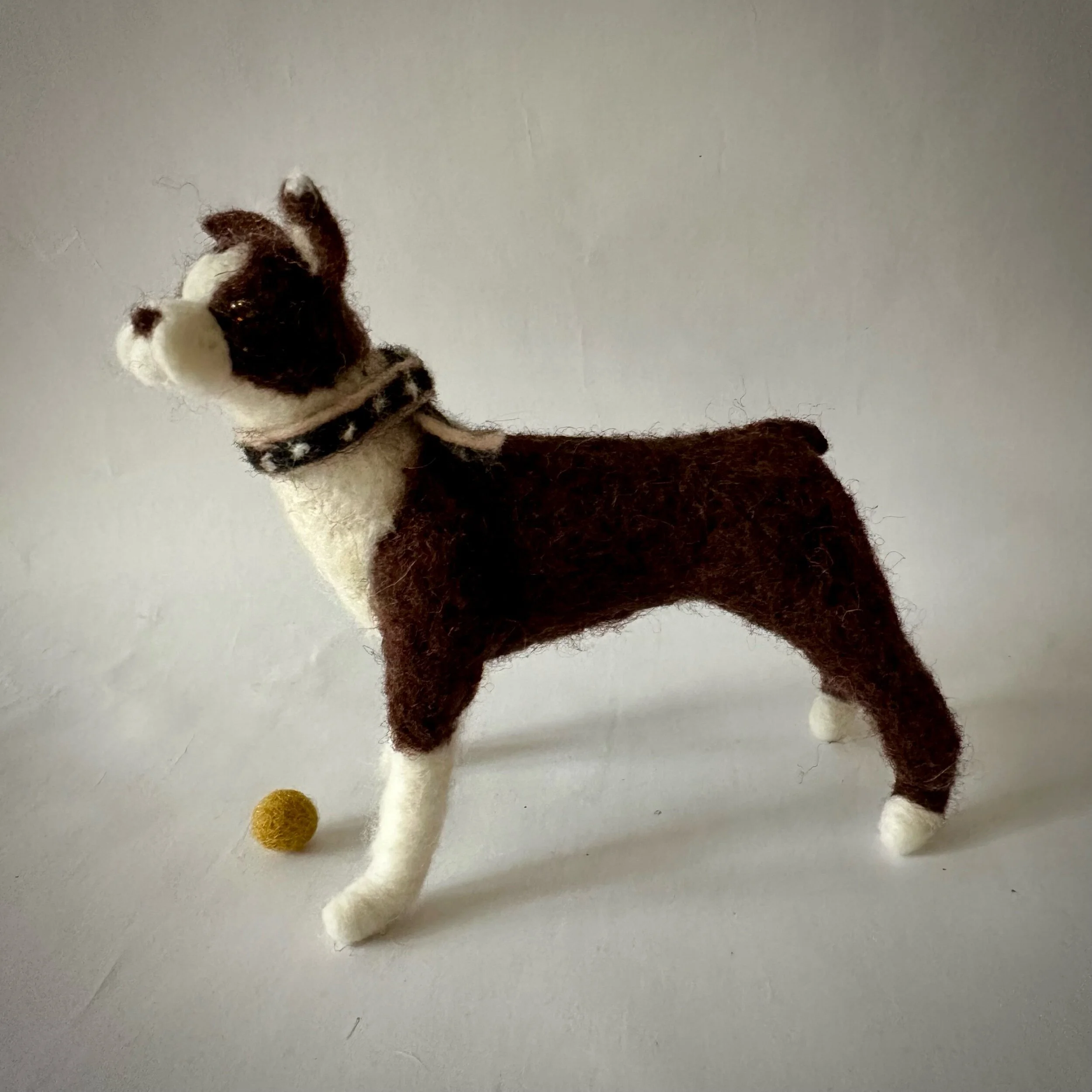 4A89C854-6886-4FB2-BF0E-D35602DD9976