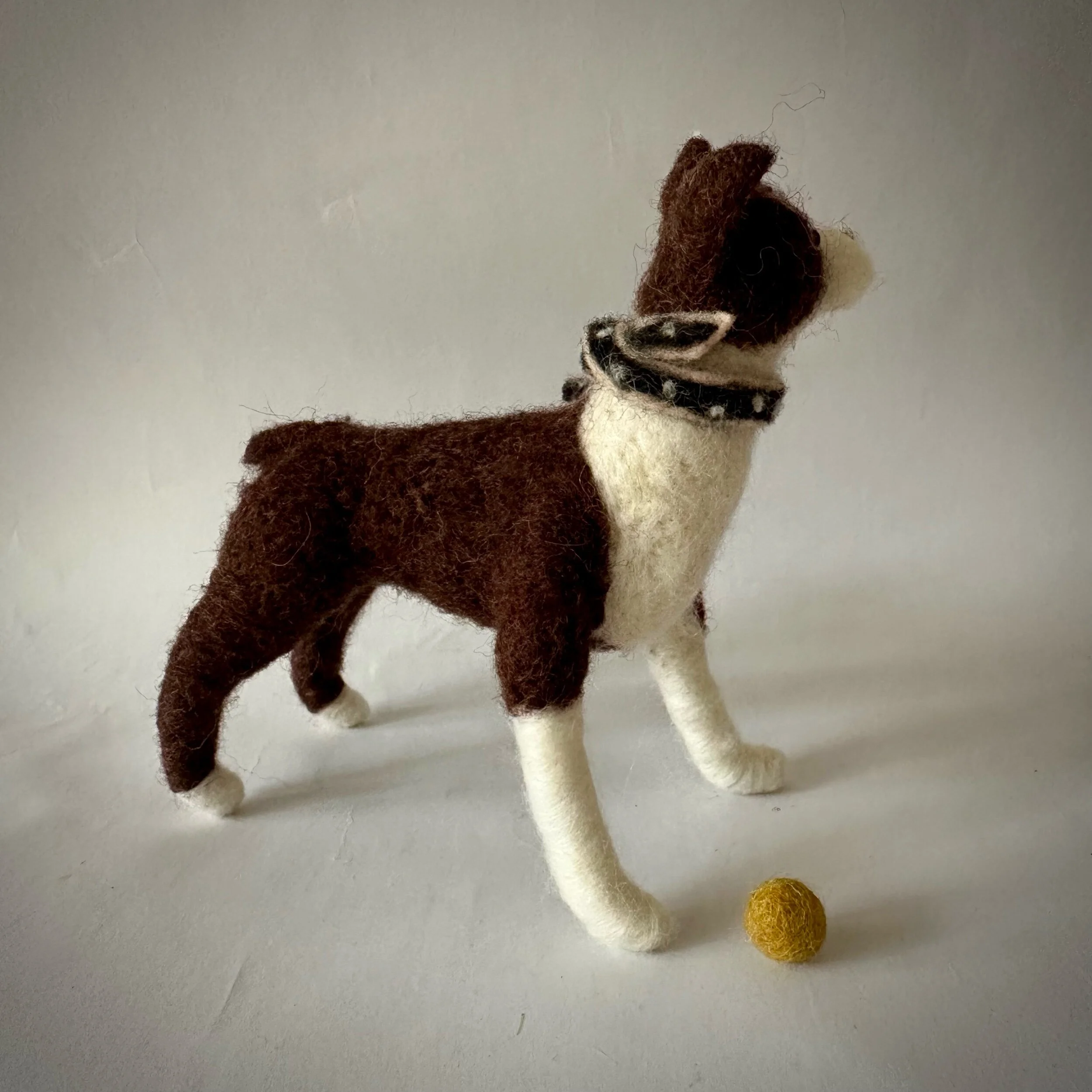 A31CFEEC-4143-47F9-9F37-251EABA7268A