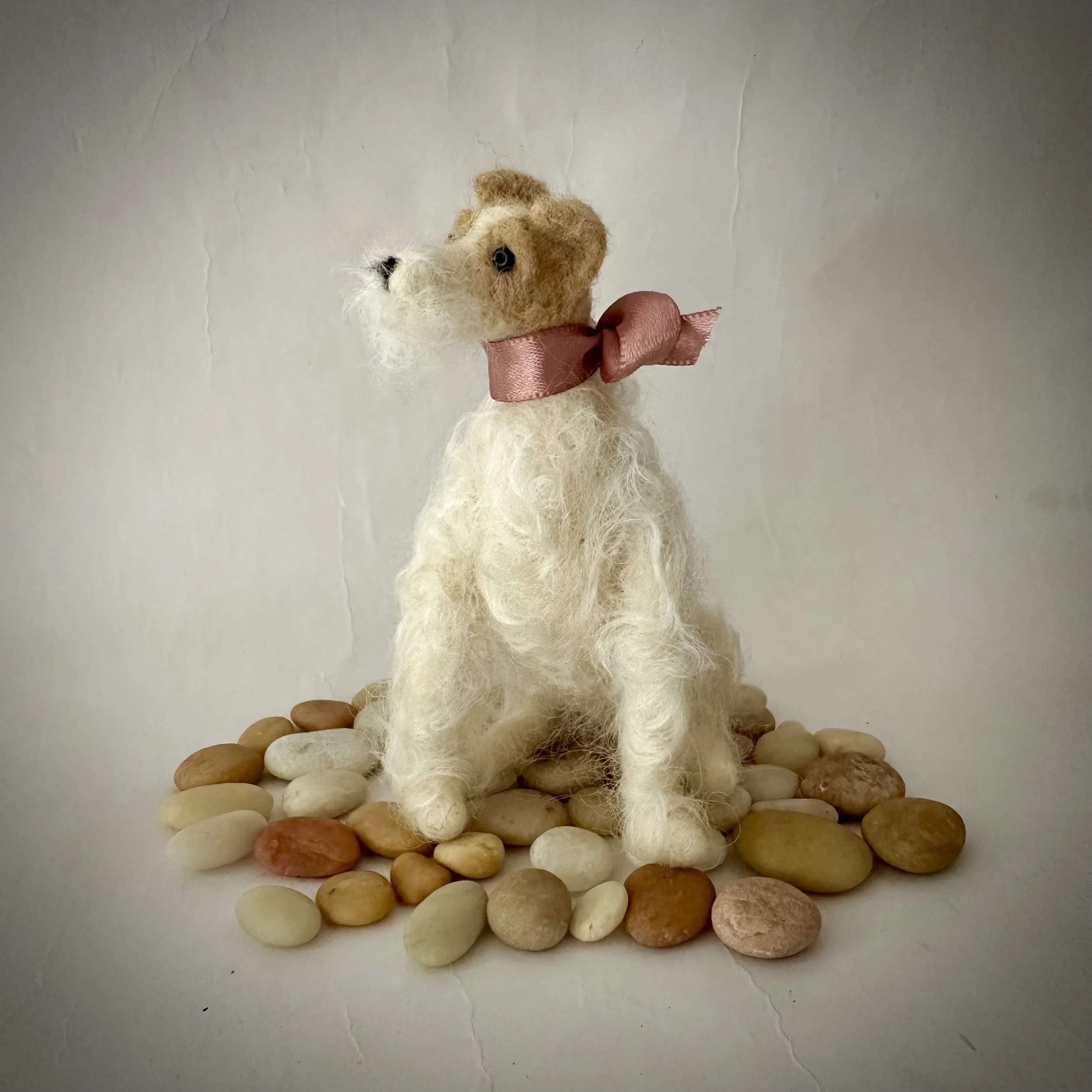 IMG_3819.jpeg