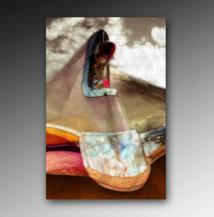 c_tailfin_1_framed.jpg