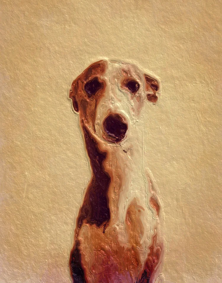 portrait_cani_I.jpeg