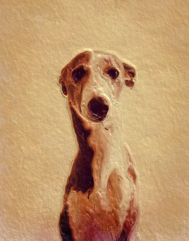 portrait_cani_I.jpeg