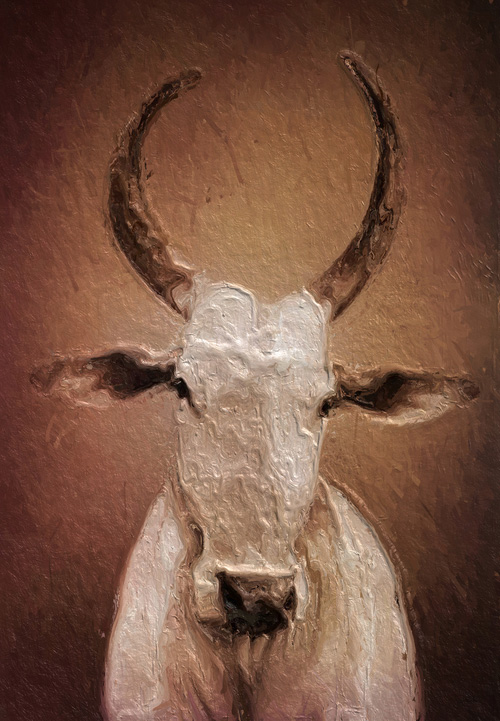 portrait_horned.jpeg
