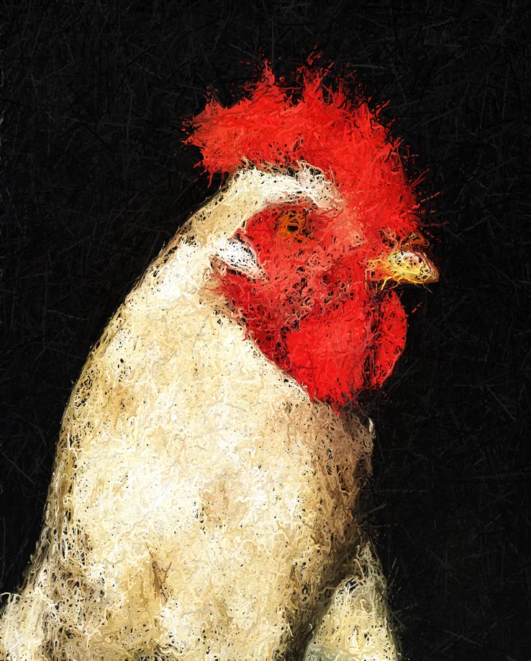 rooster.jpg