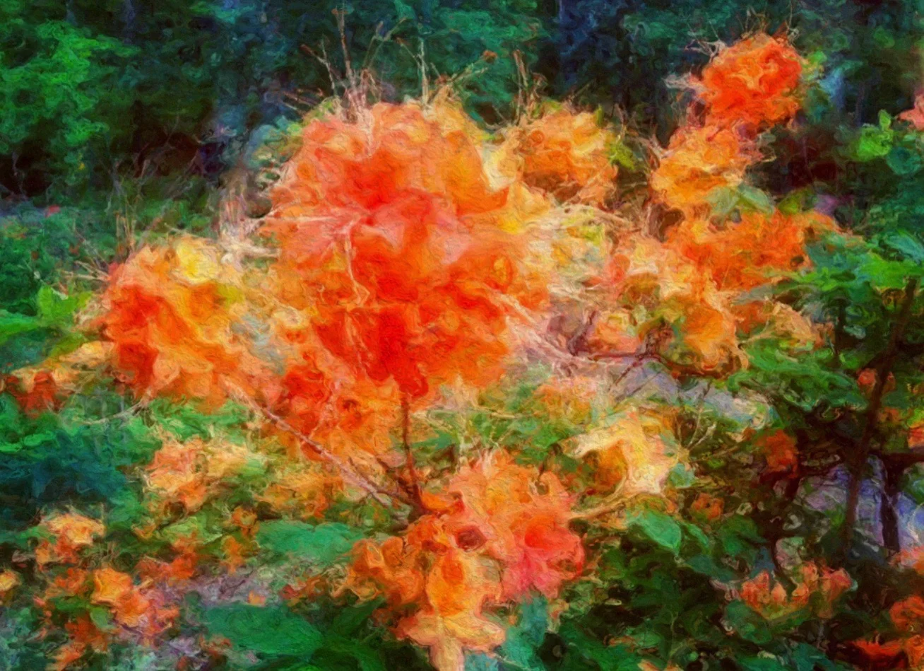 botany_4.jpg