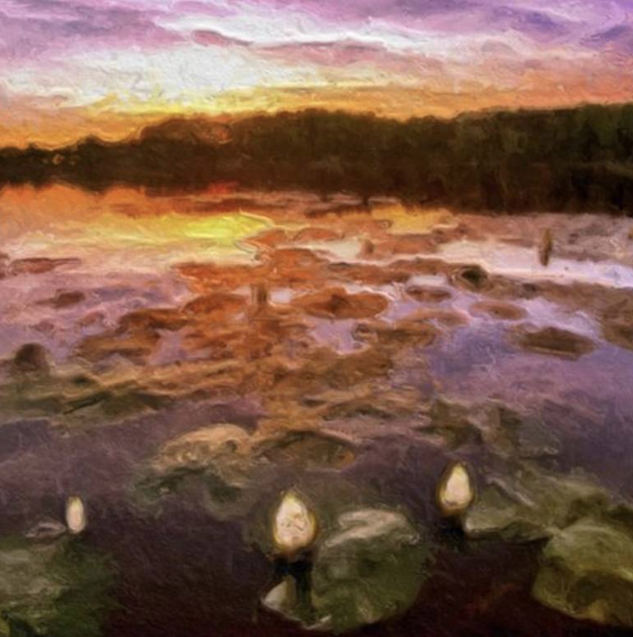 Screen Shot 2019-05-24 at 10.43.49 AM.png