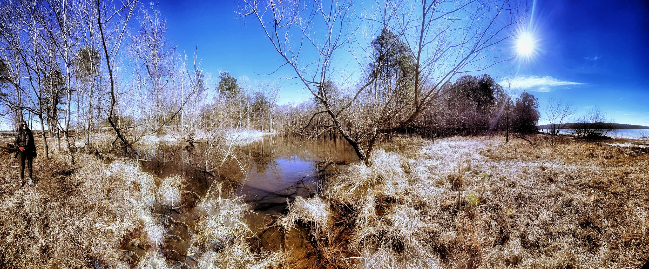IMG_0250.jpeg