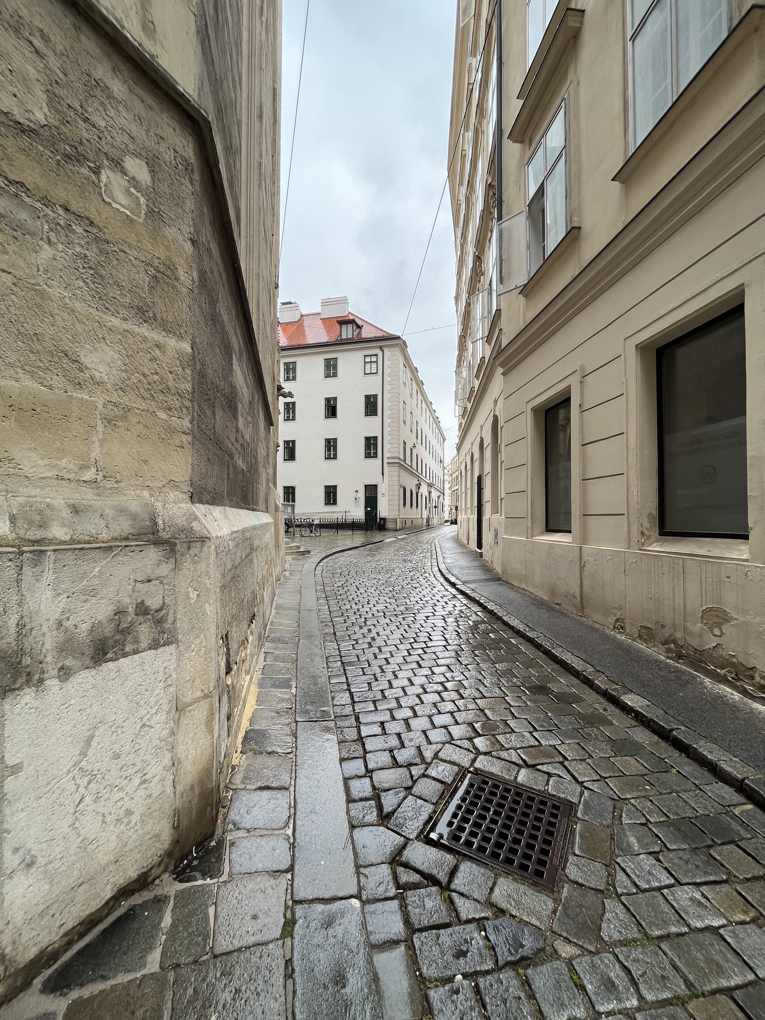 IMG_7202.jpeg