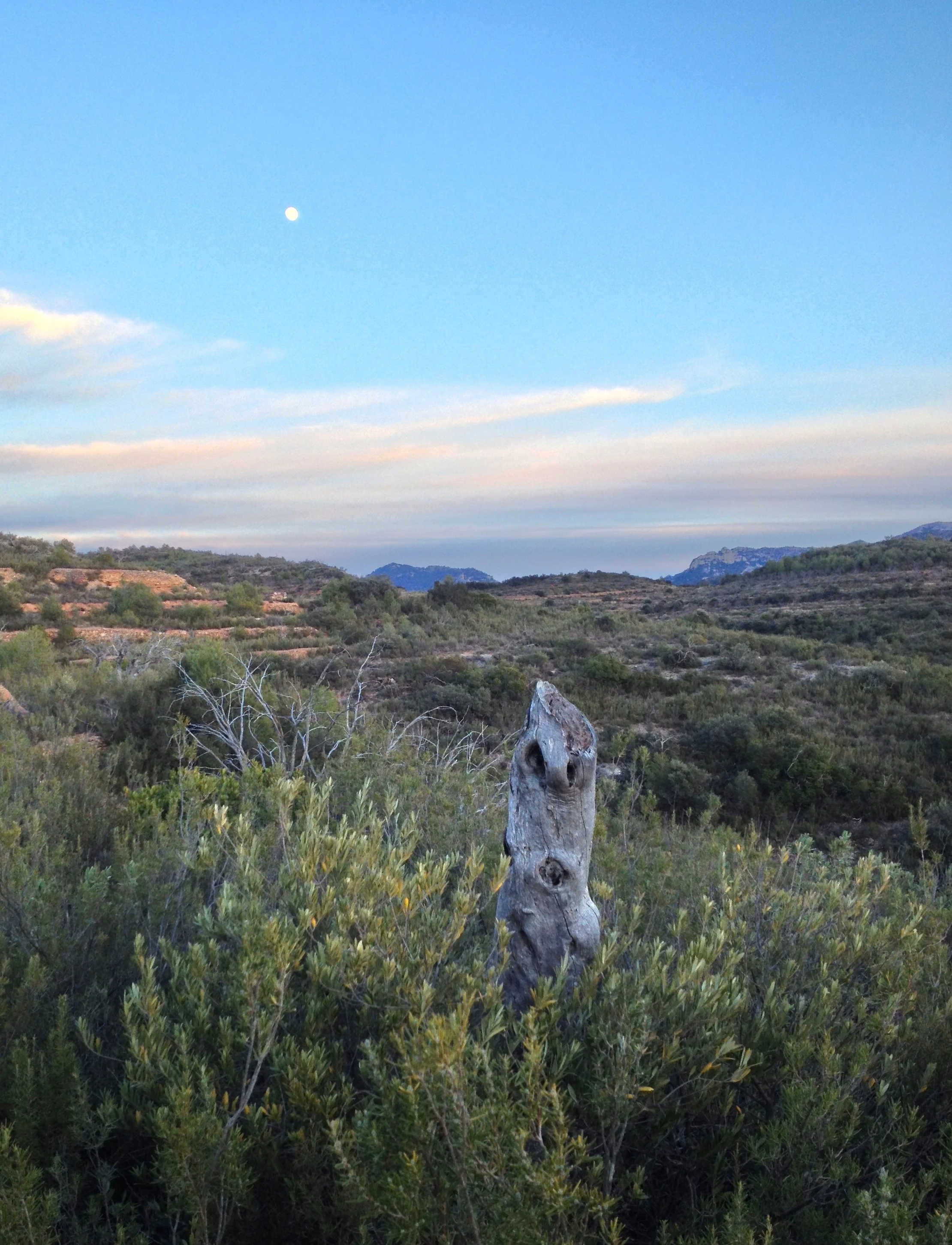 Winter in Spain