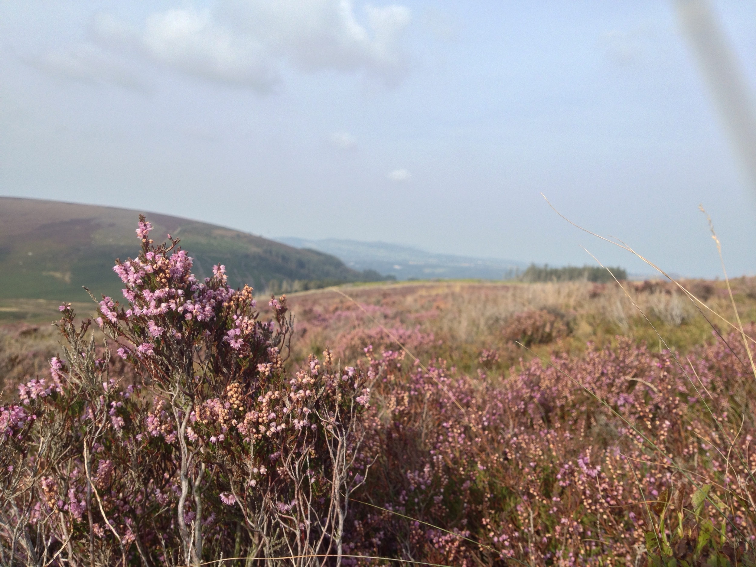 I've done a bit of this recently - less climbing and more walking!