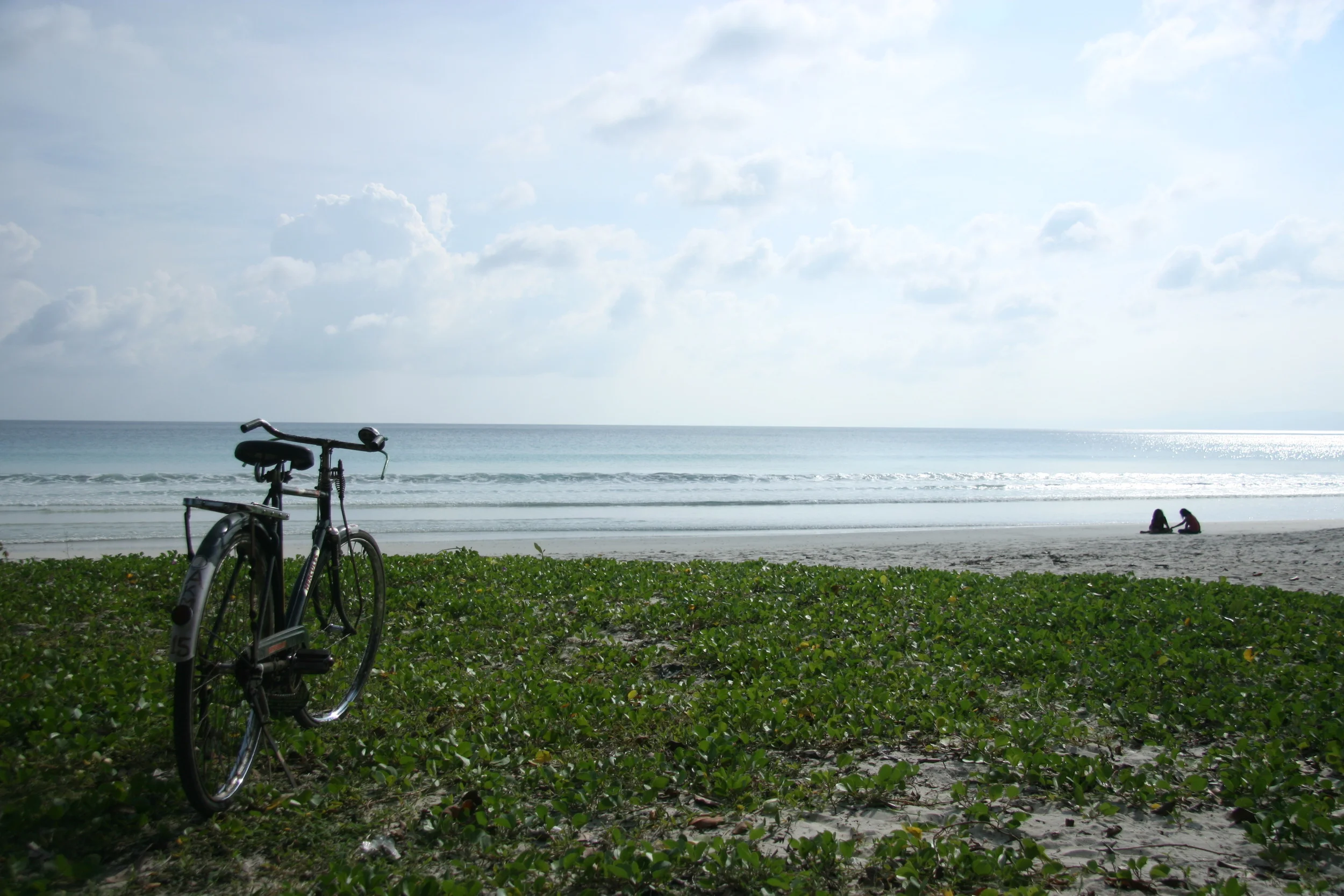 Sports data benefits