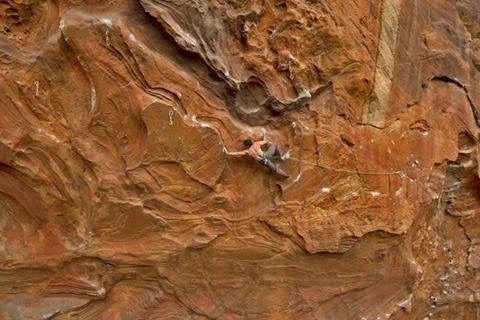 I need to go back to Australia