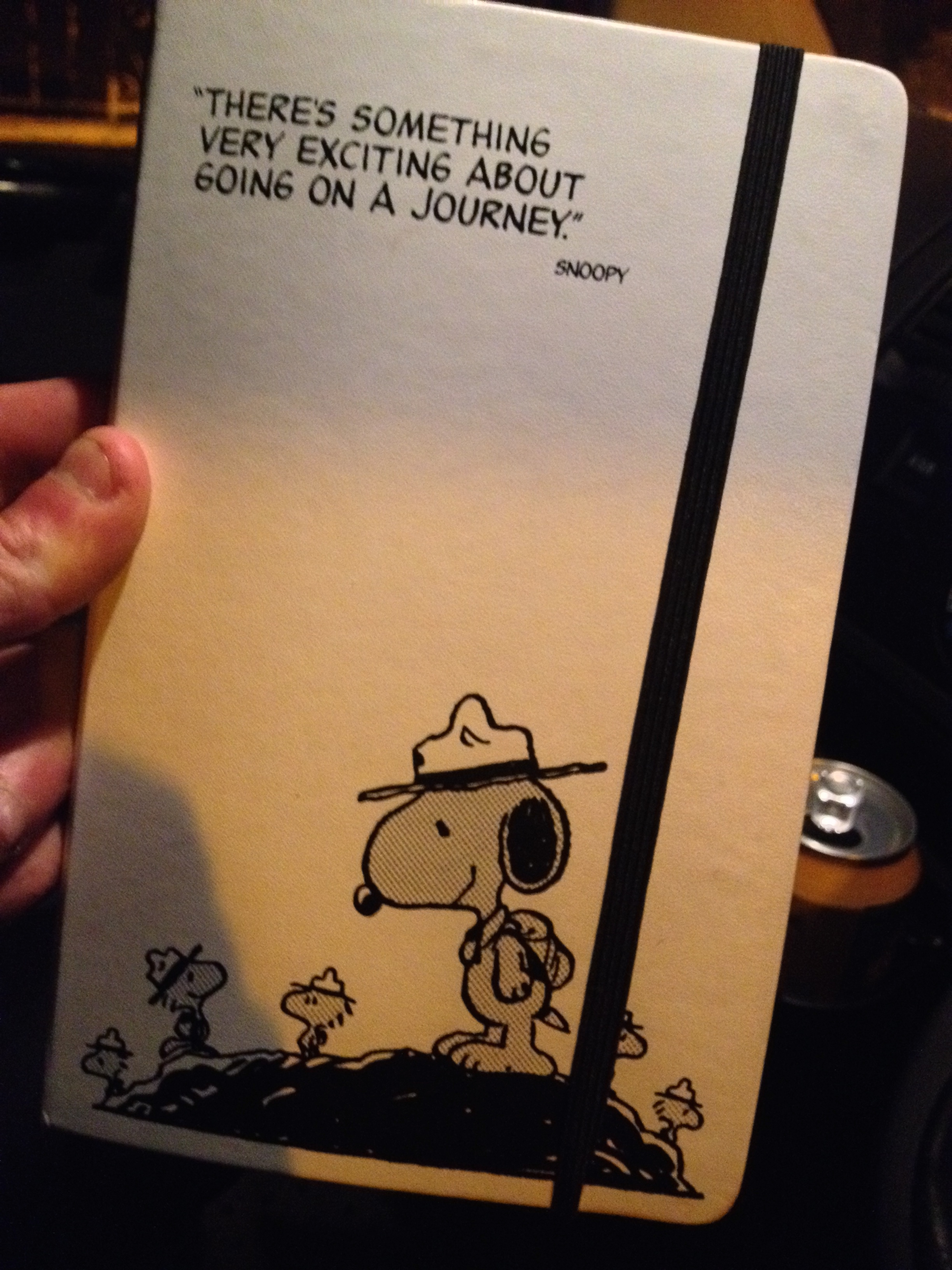 So many meanings to the cover of this lovely Moleskine diary from 2014.....