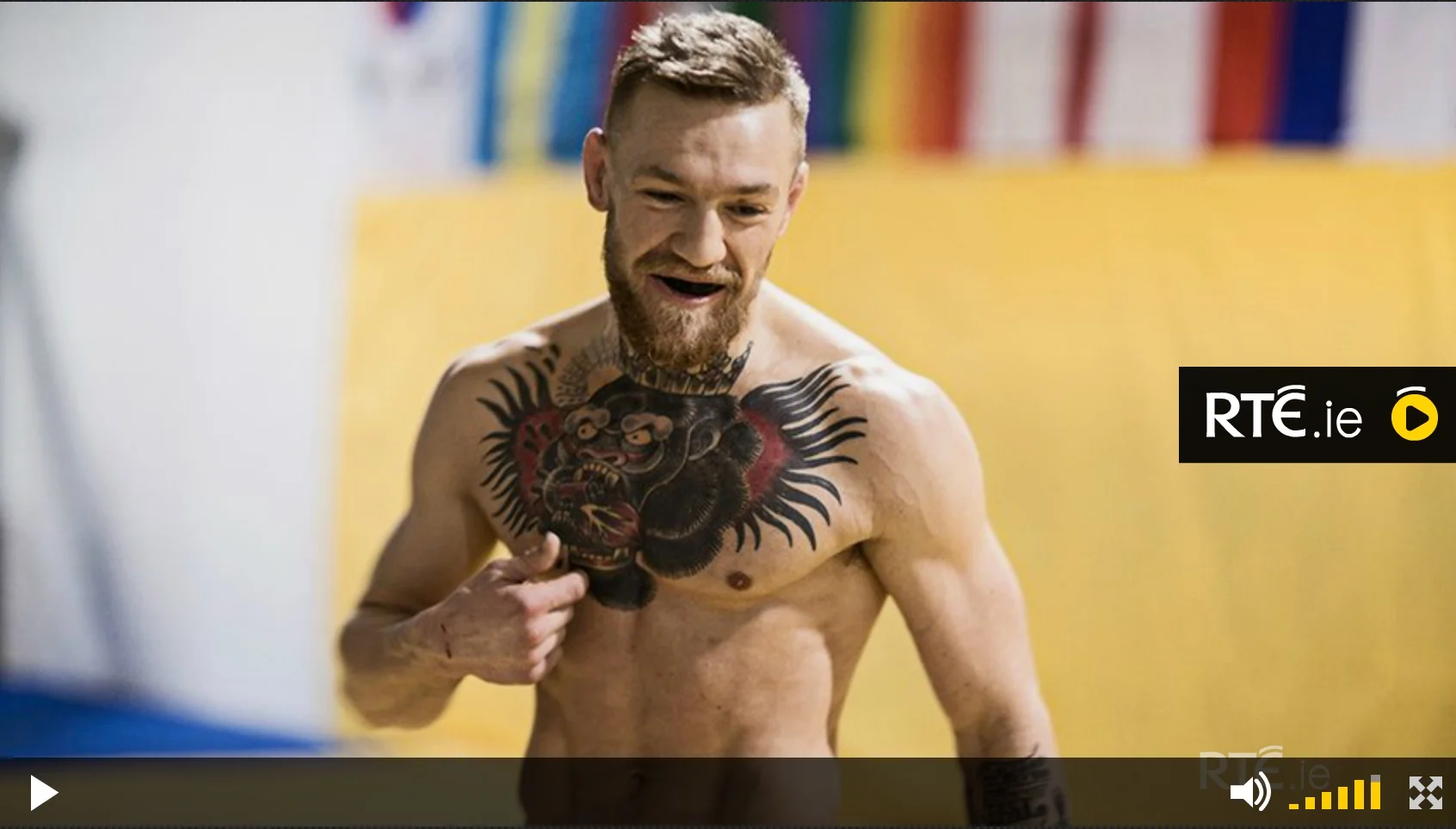 I've just been inspired.......by Ultimate Fighting?!?!?