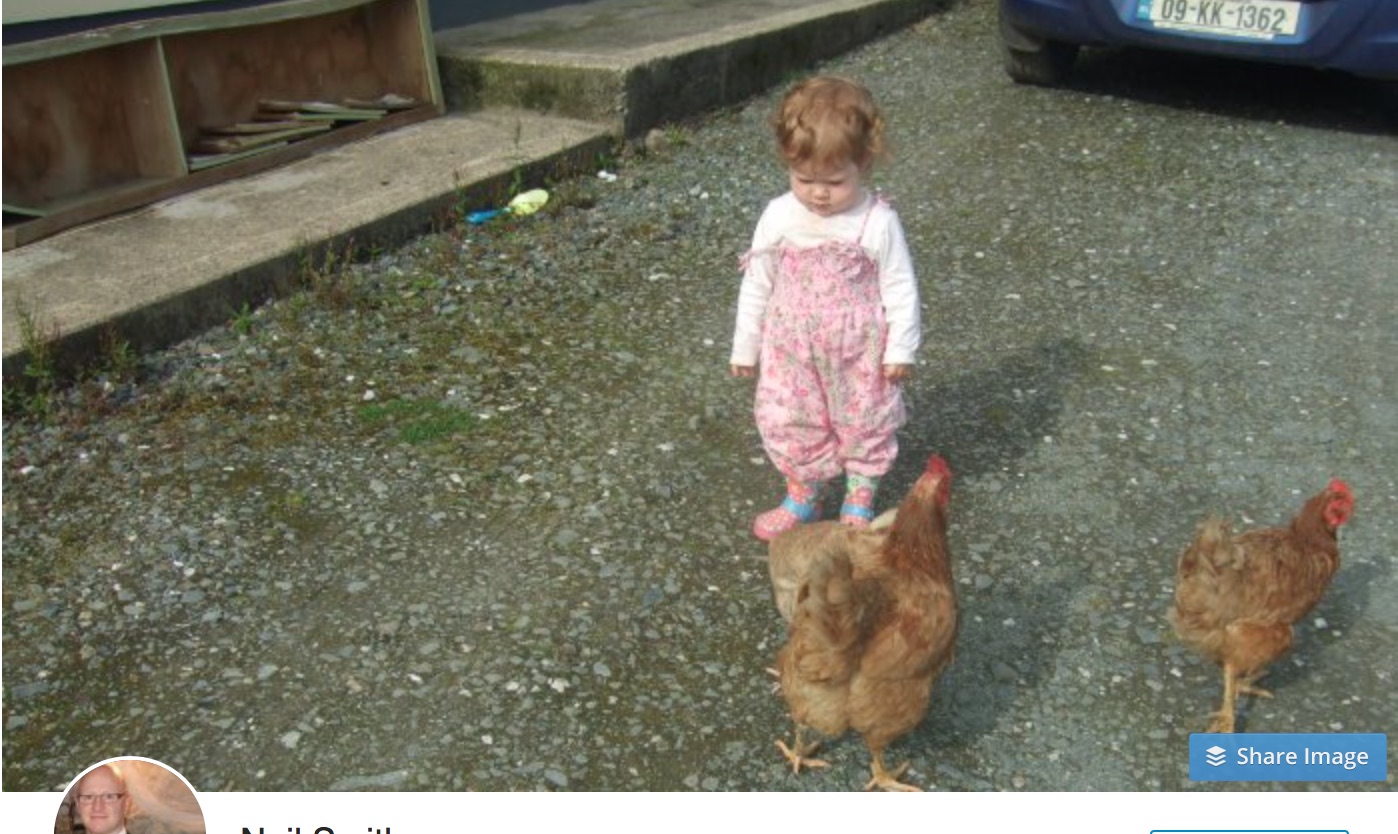 Letting your child learn