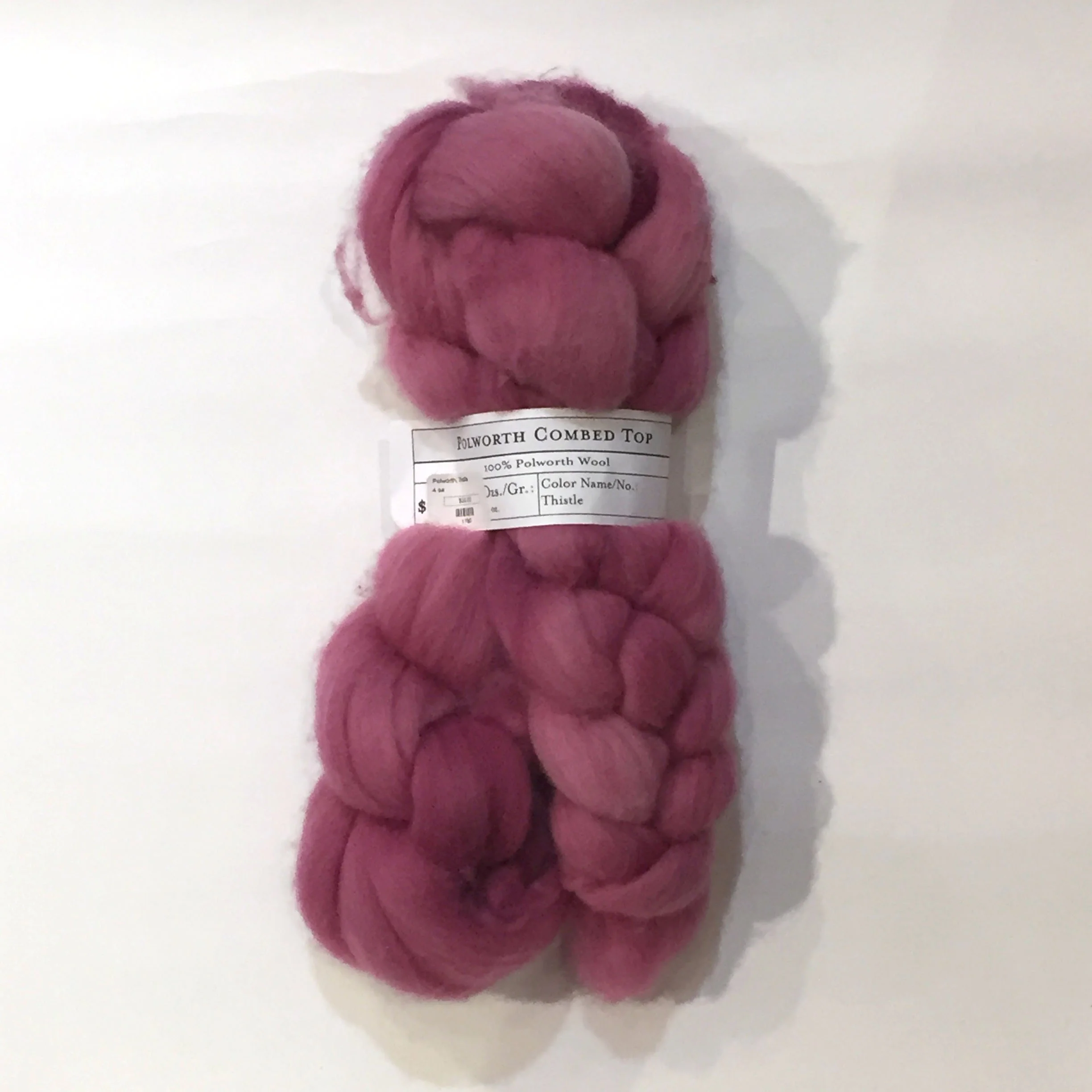 polwarth thistle.JPG