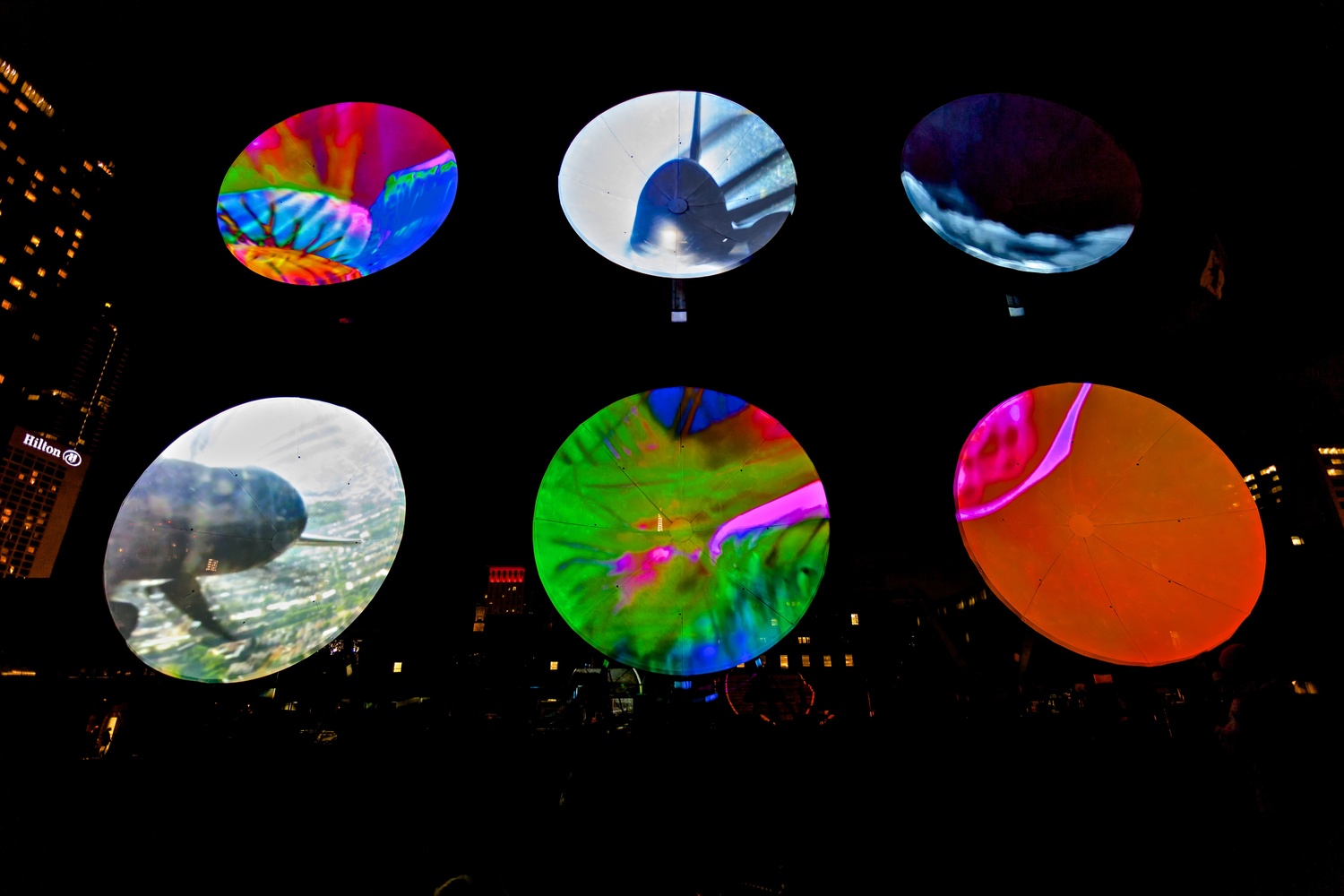 WWS 6 2012_10_01-5D2-269.jpg