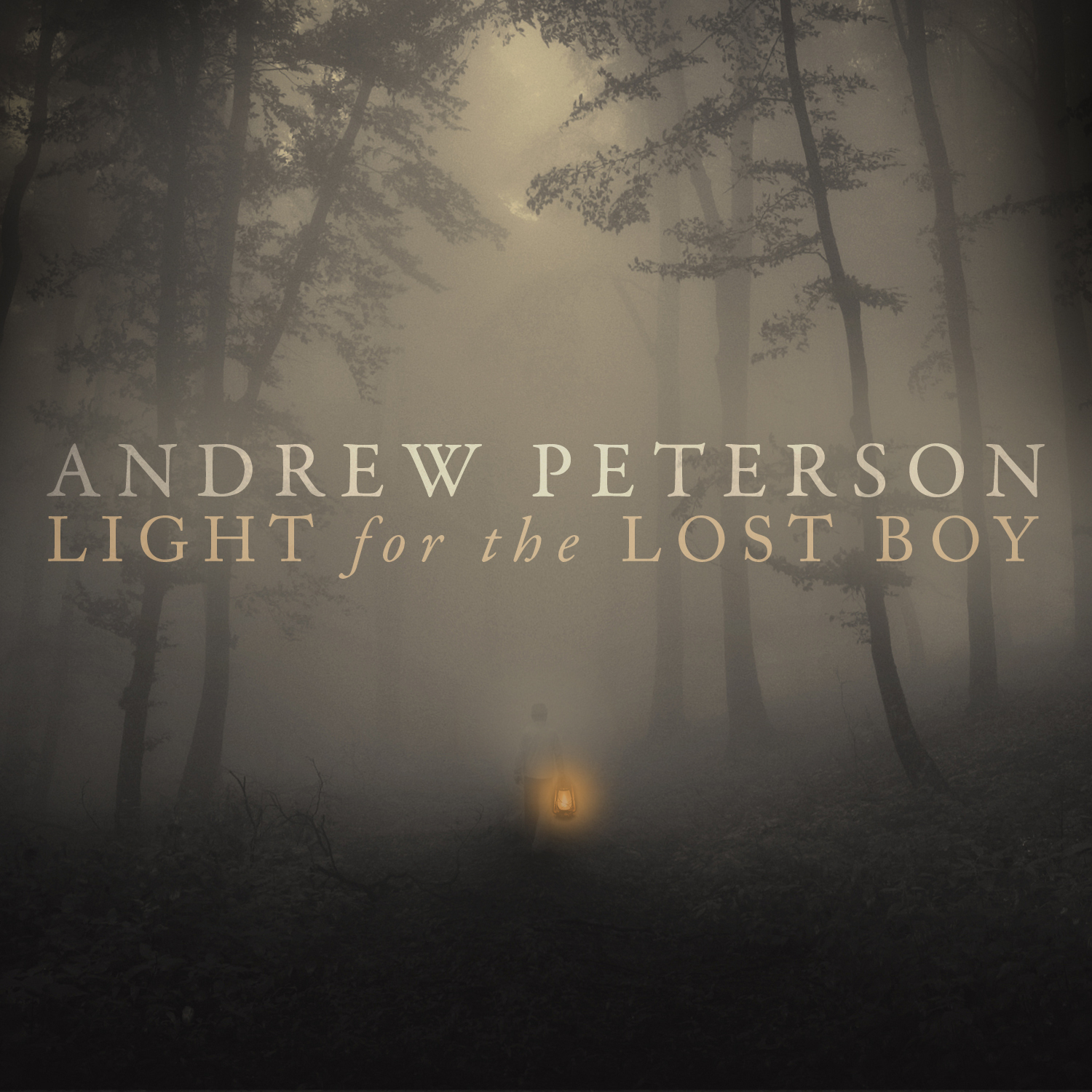 AP_LightForTheLostBoy.jpg