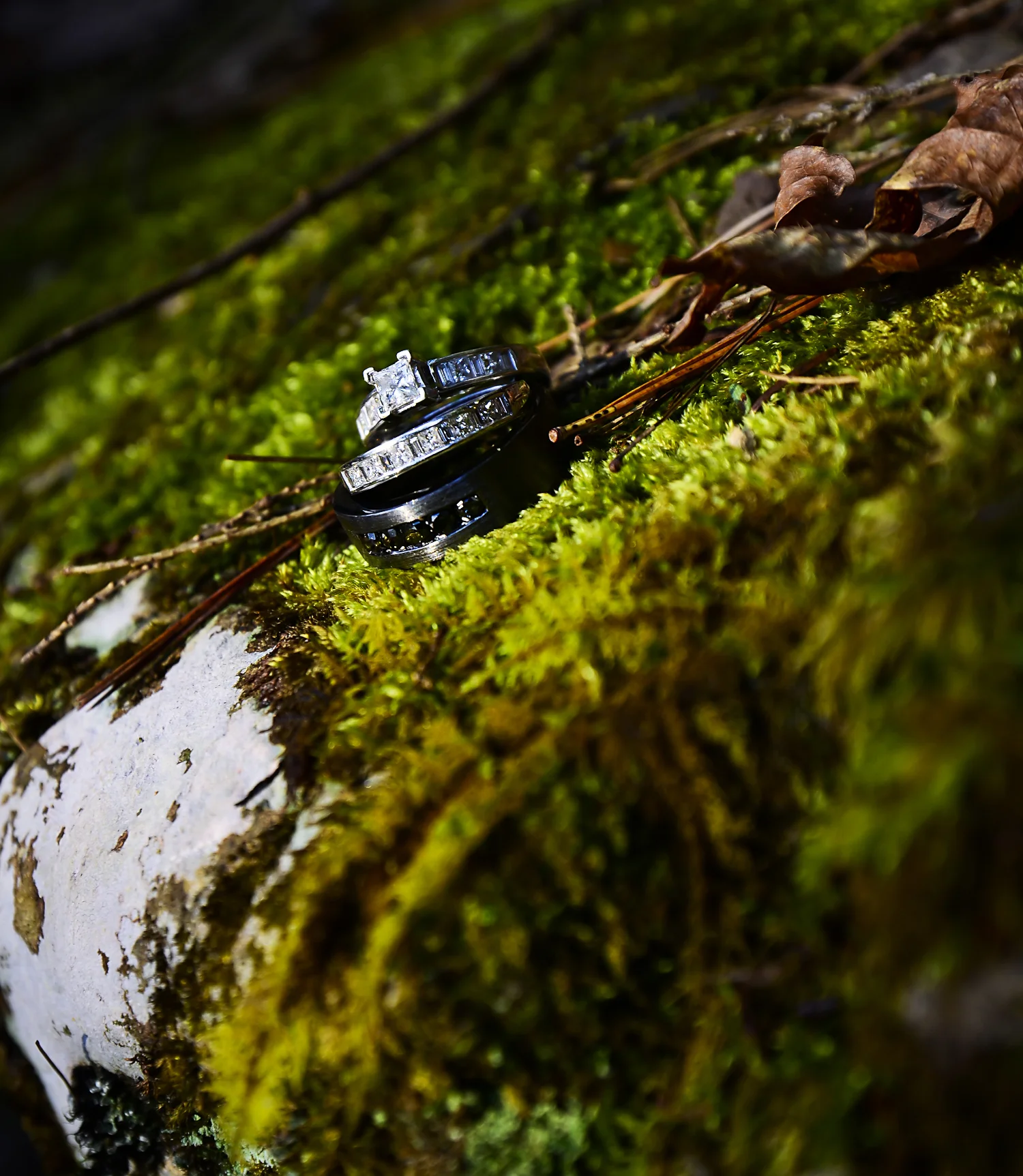 _DSC7560.jpg