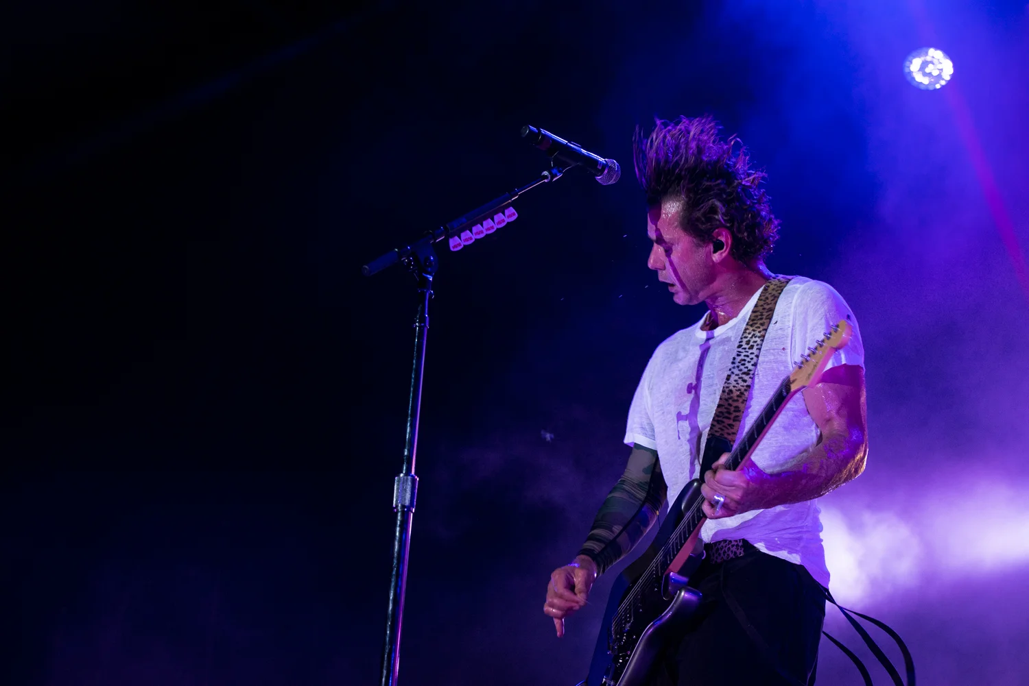 Musikfest 2016 - BUSH