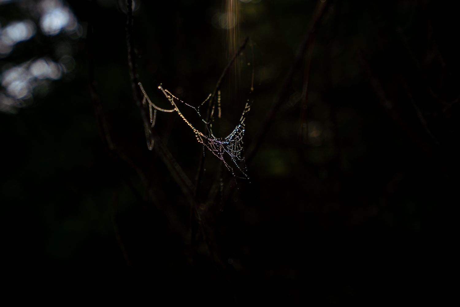 _DSC3257.jpg