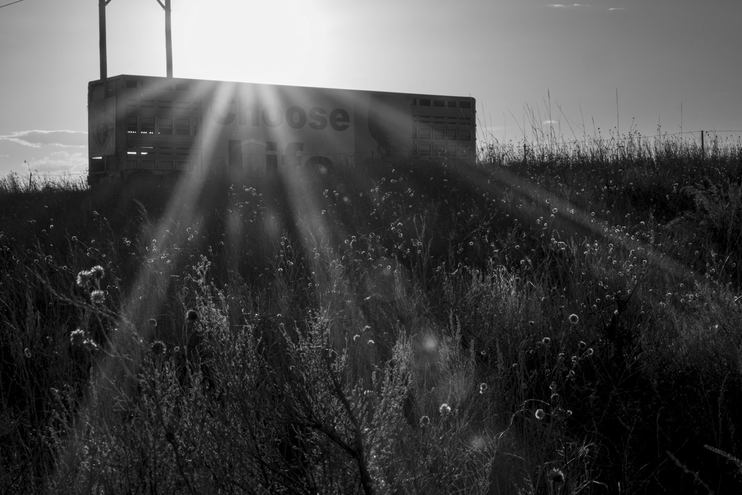 Date | Location: April 2024, Hillrose, CO