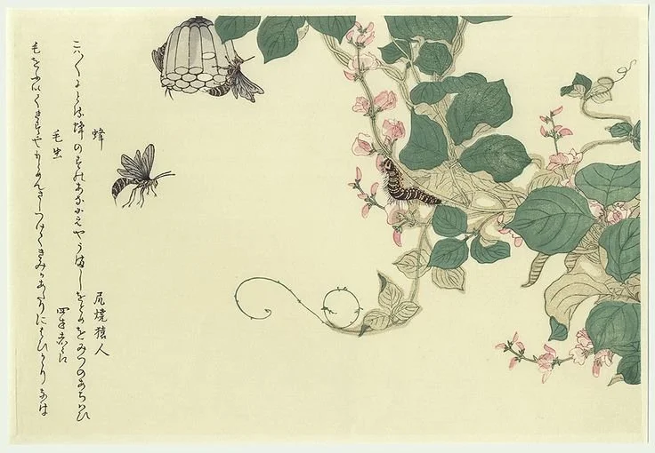 Awakening of Insects 驚蟄 Seasonal Node
